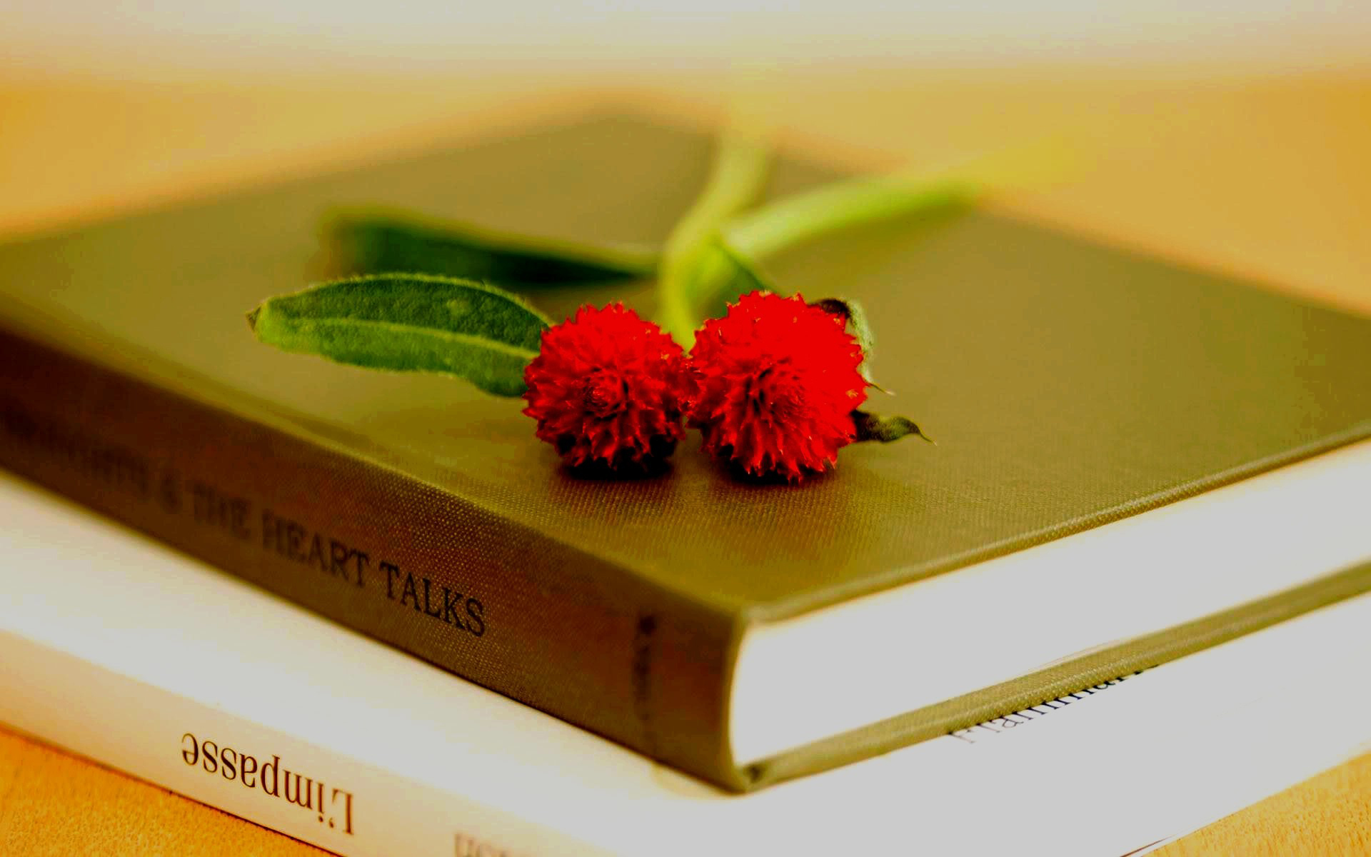 Flowers And Books Wallpapers