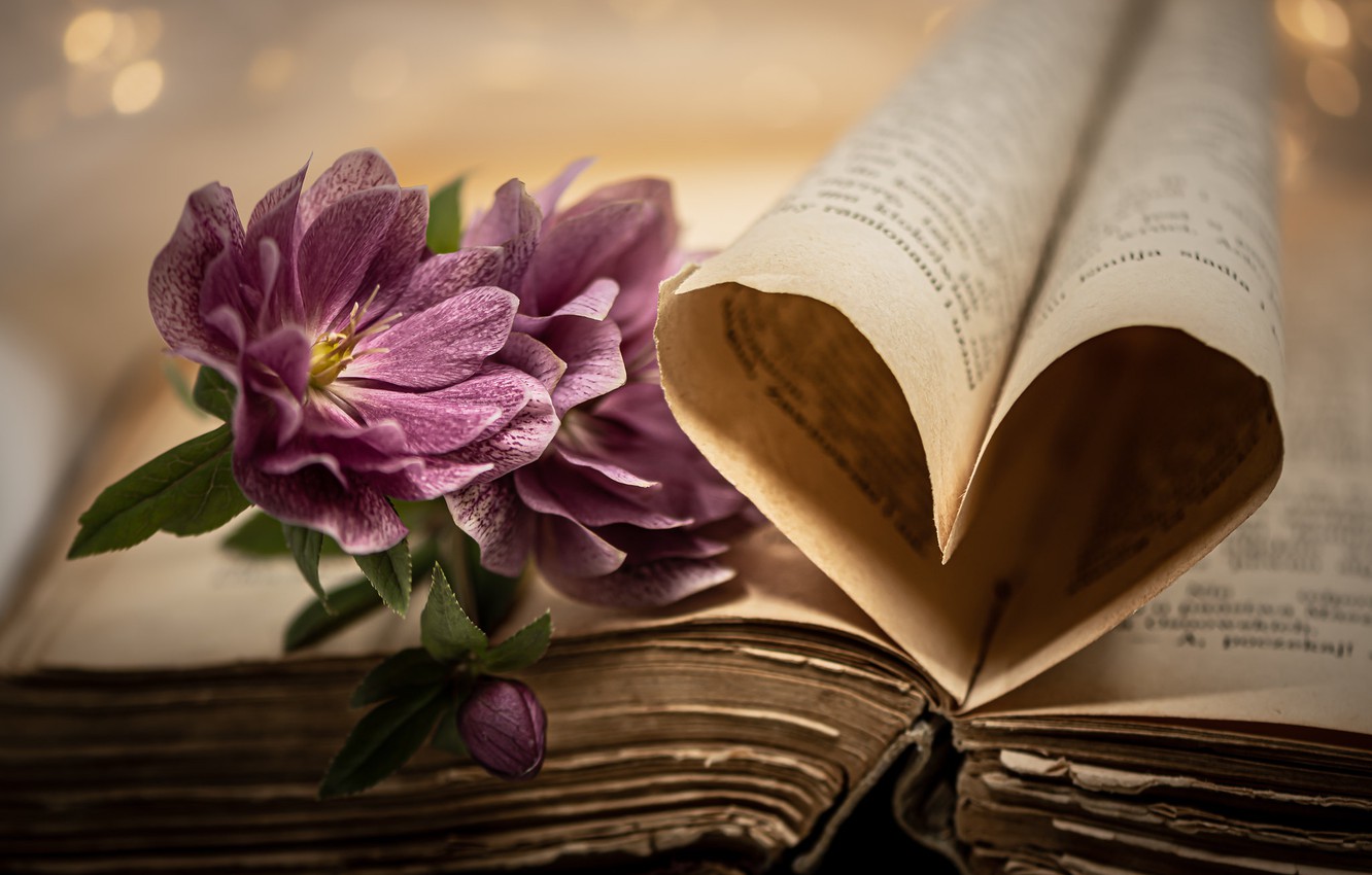 Flowers And Books Wallpapers