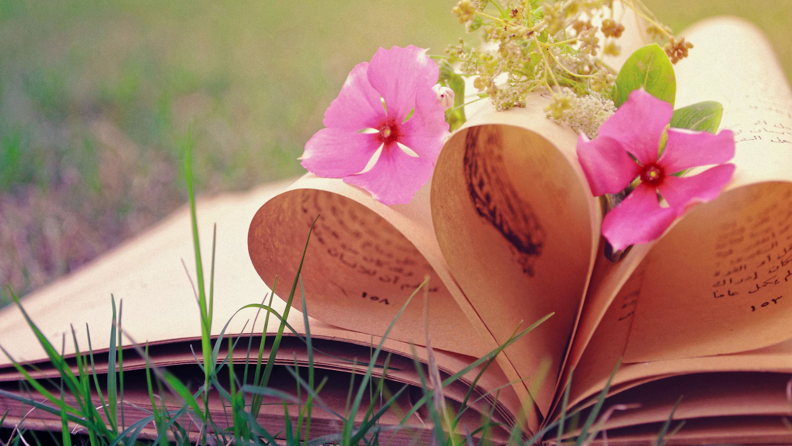 Flowers And Books Wallpapers