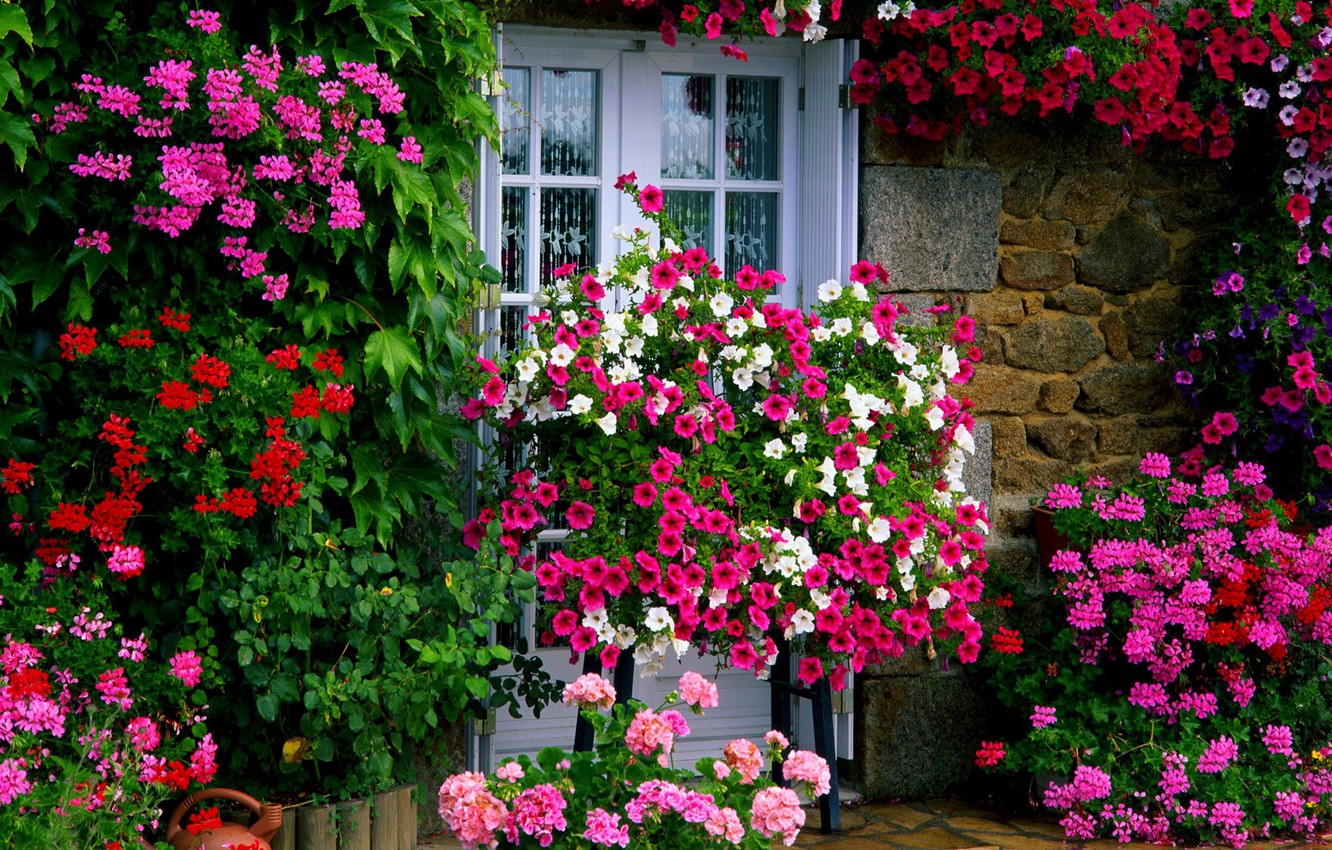 Flowers House Wallpapers