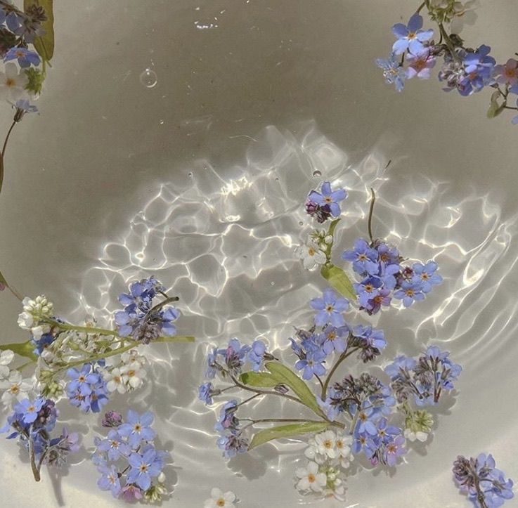 Flowers In Water Aesthetic Wallpapers