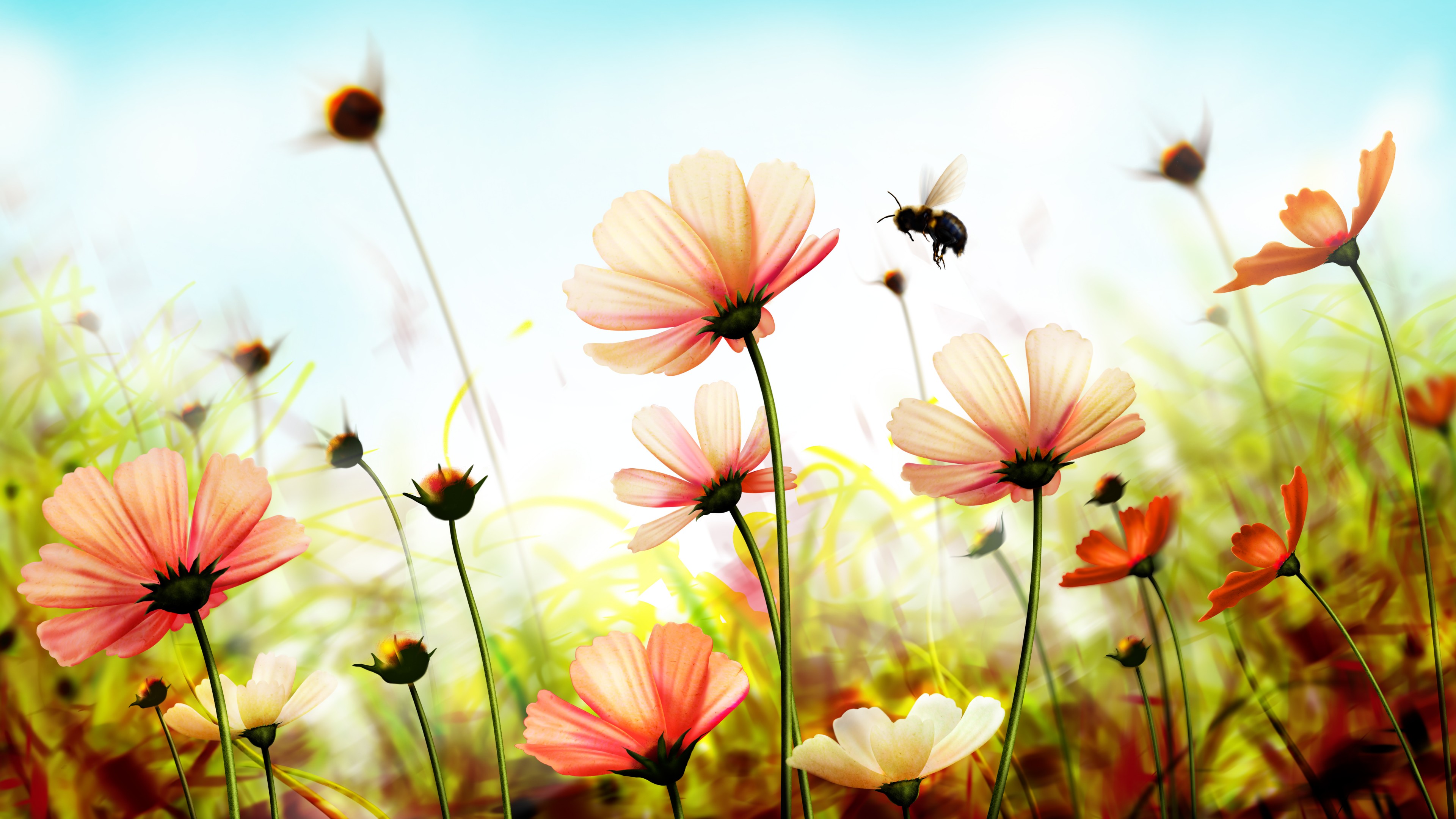 Flowers Spring Wallpapers