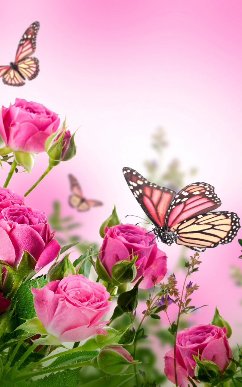 Flowers Wallpapers