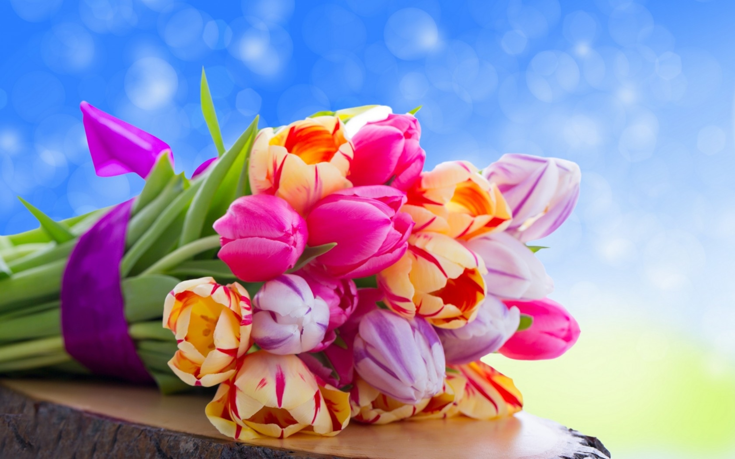 Flowers Wallpapers