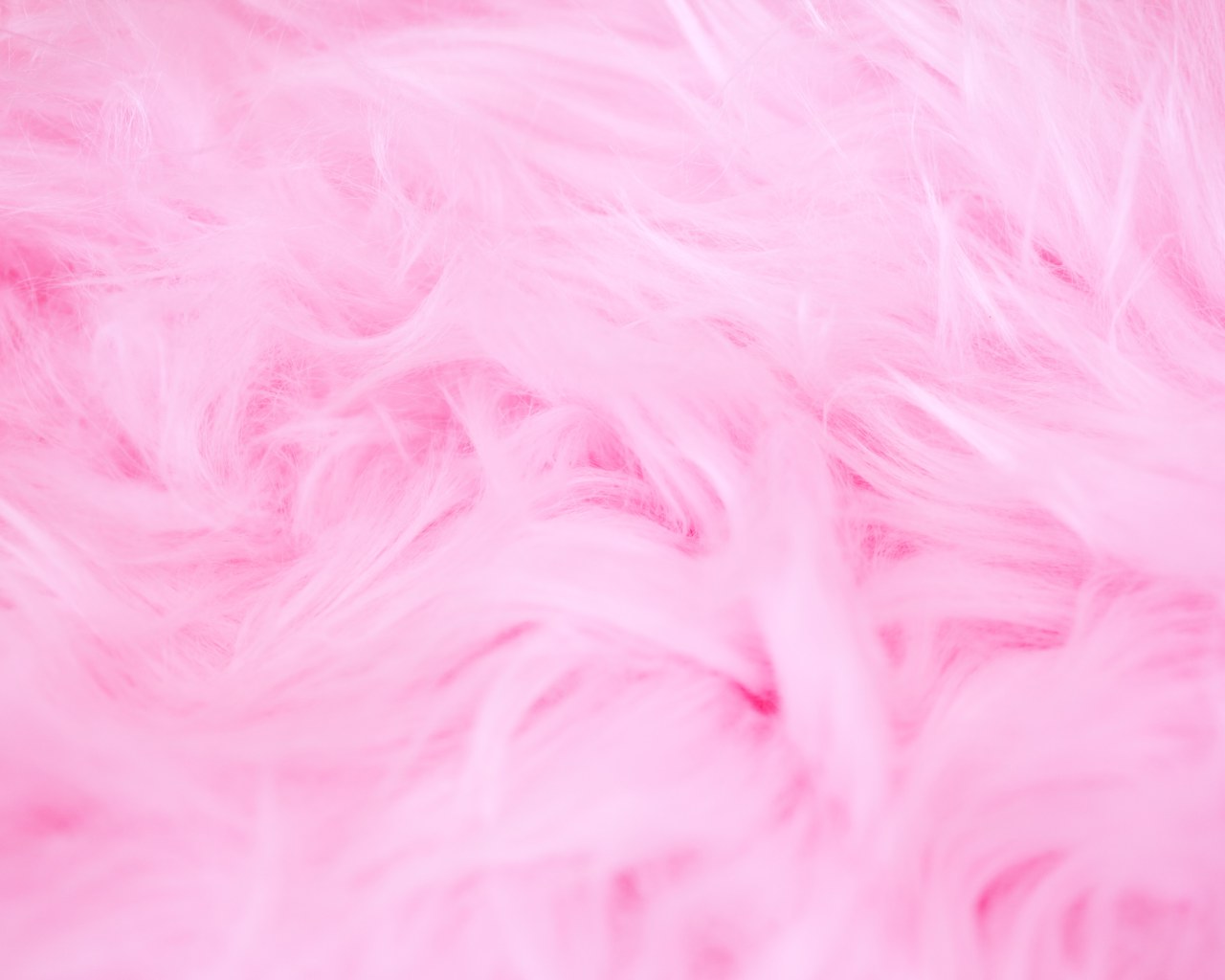 Fluffy Wallpapers