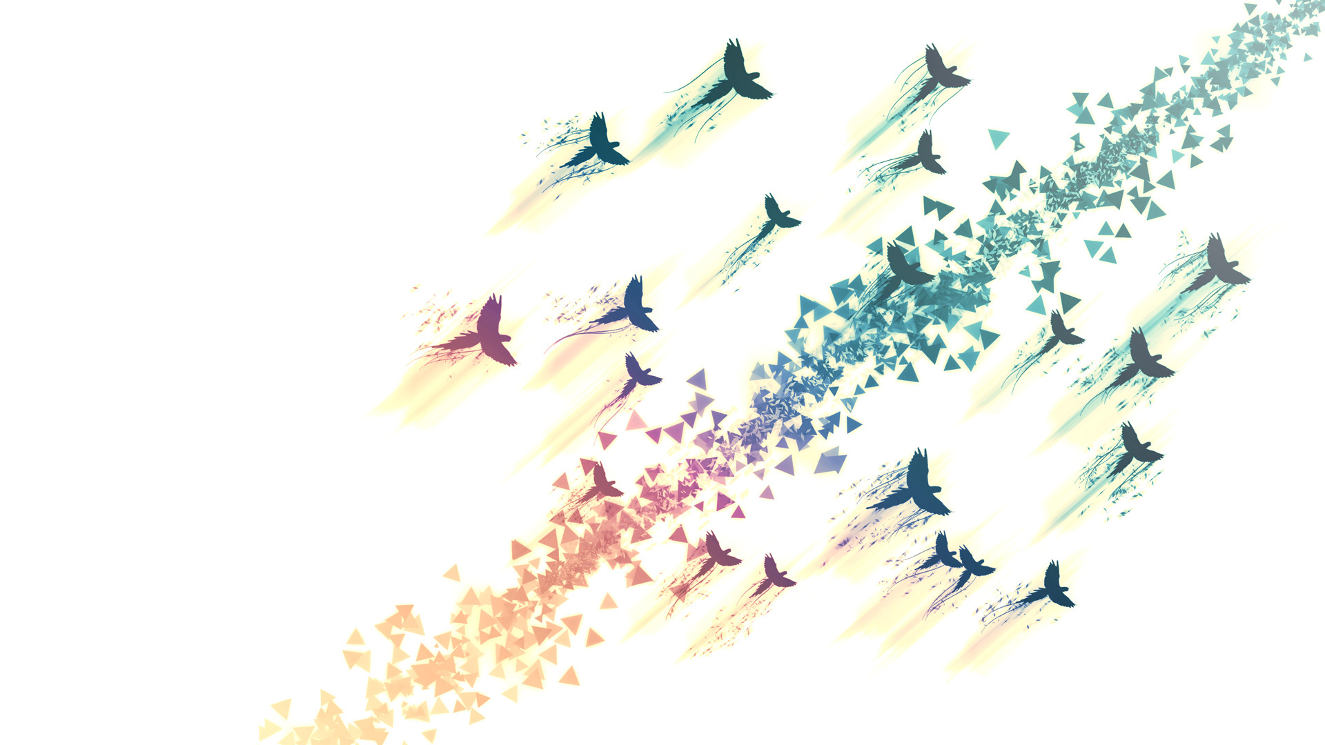 Flying Birds Wallpapers