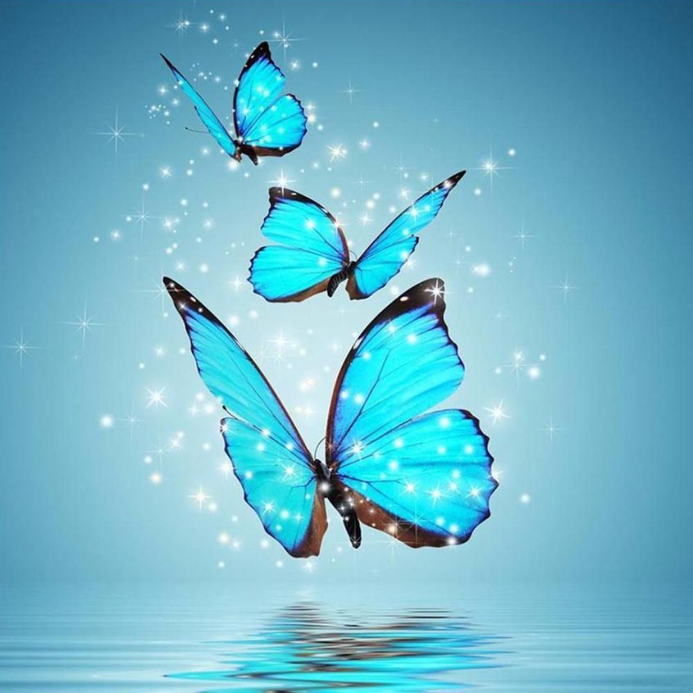 Flying Butterfly Wallpapers