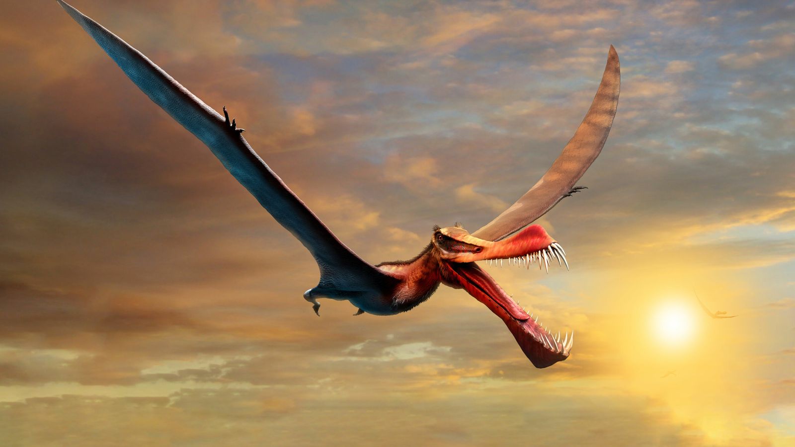 Flying Dragon Over Colorful Cloud Wallpapers