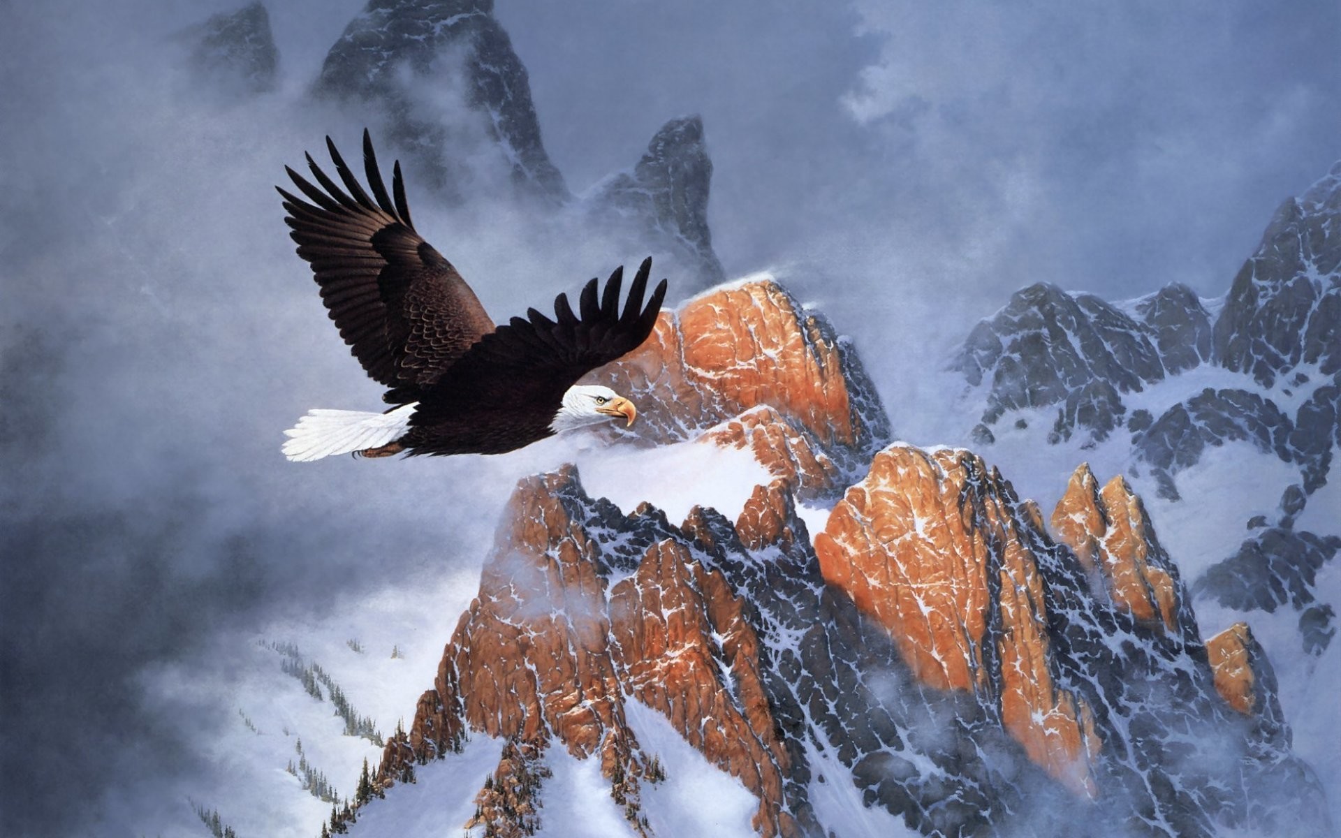 Flying Eagle Wallpapers