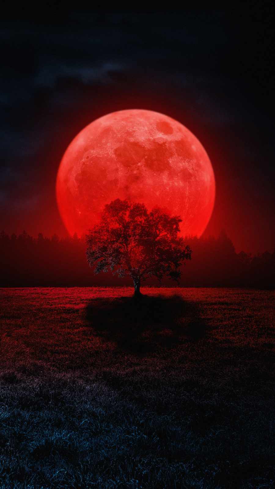 Flying To Red Moon Wallpapers