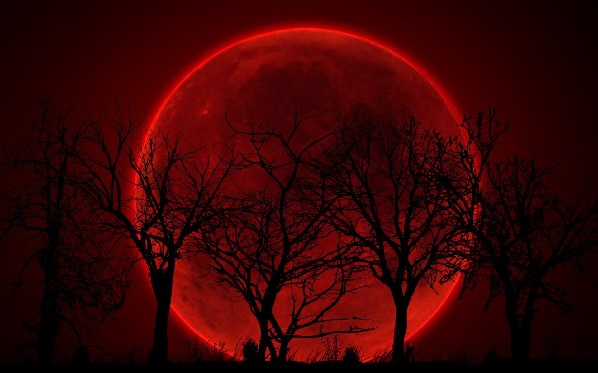 Flying To Red Moon Wallpapers