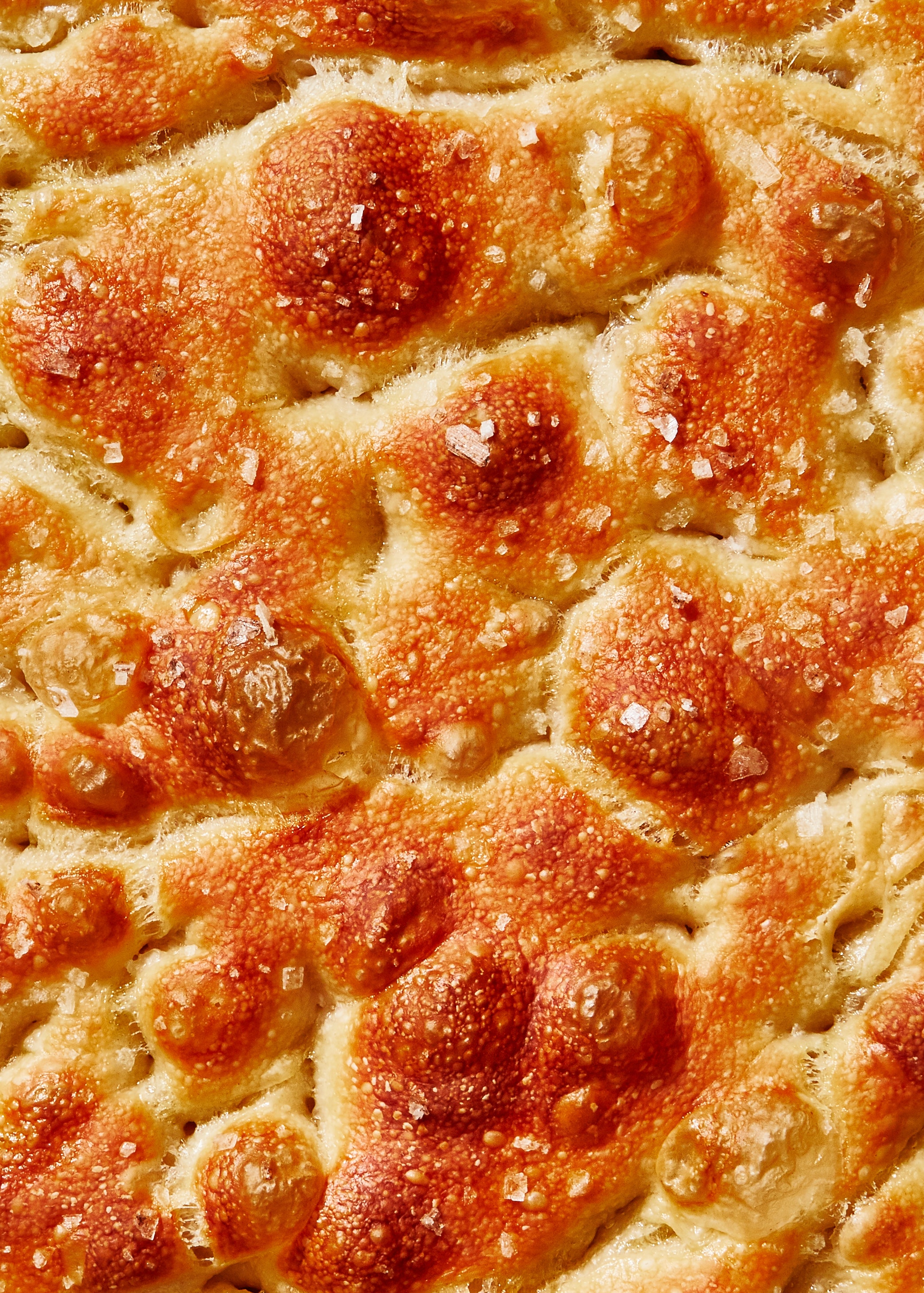 Focaccia Wallpapers