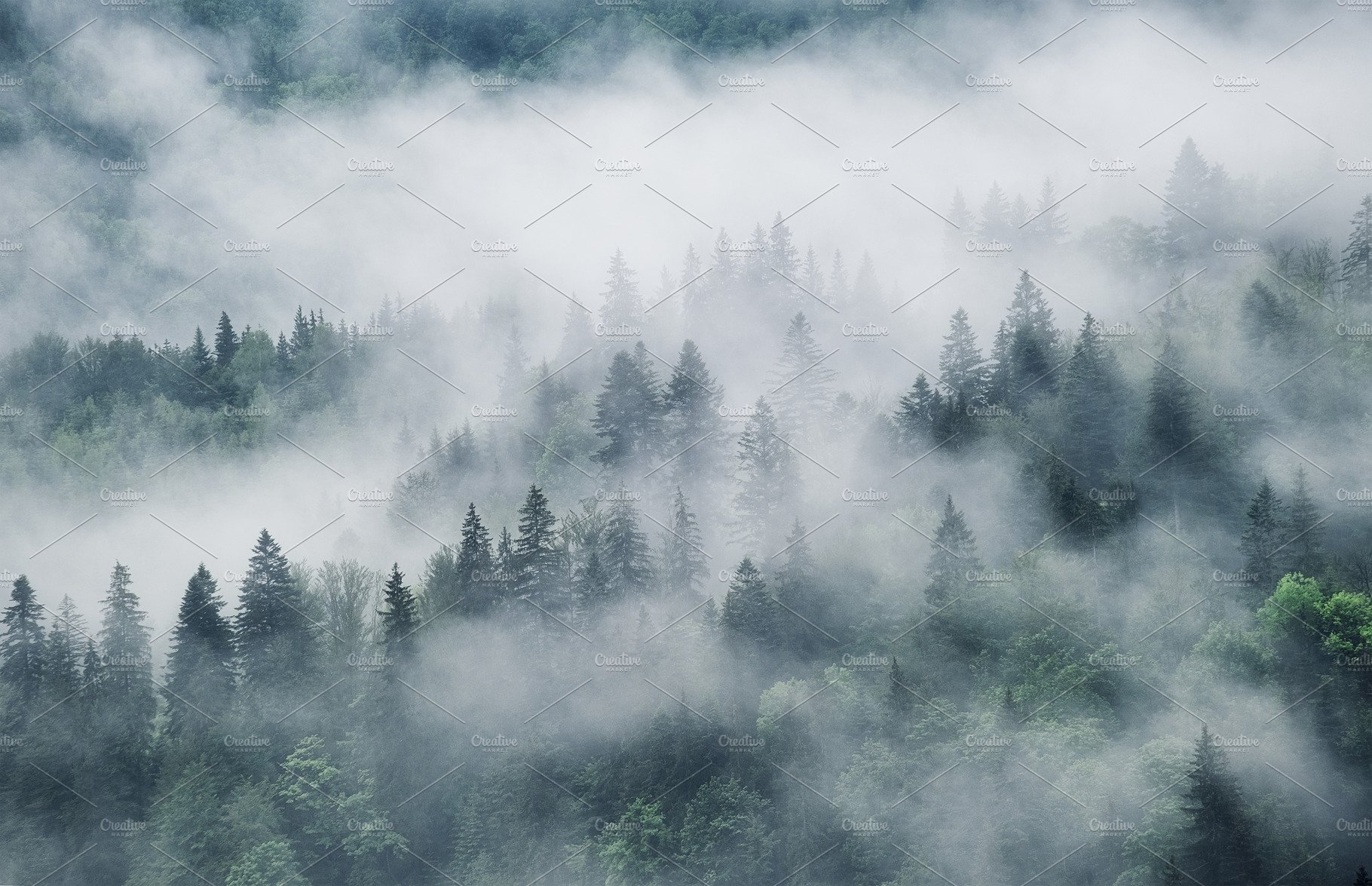 Fog Forest Mountain Photography Wallpapers