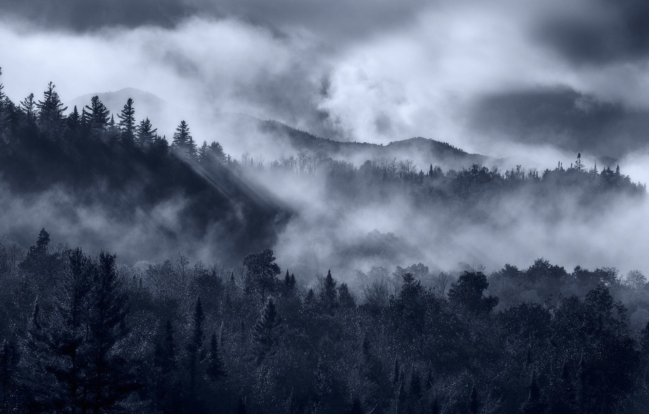 Fog Forest Mountain Photography Wallpapers