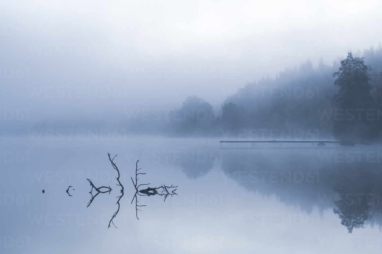 Fog Over Lake Wallpapers