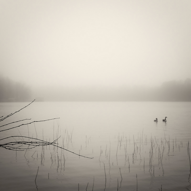 Fog Over Lake Wallpapers