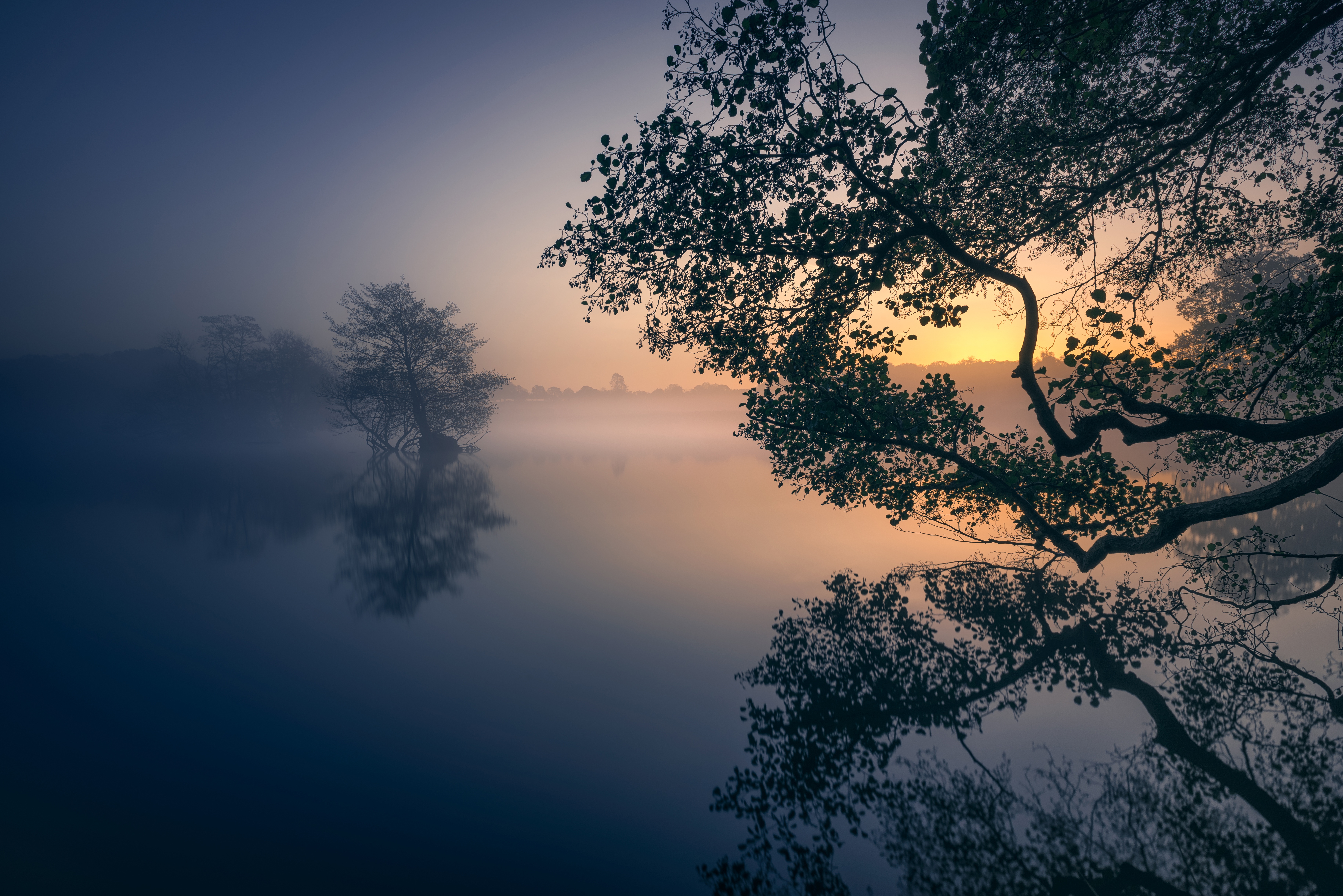 Fog Reflection 4K Wallpapers