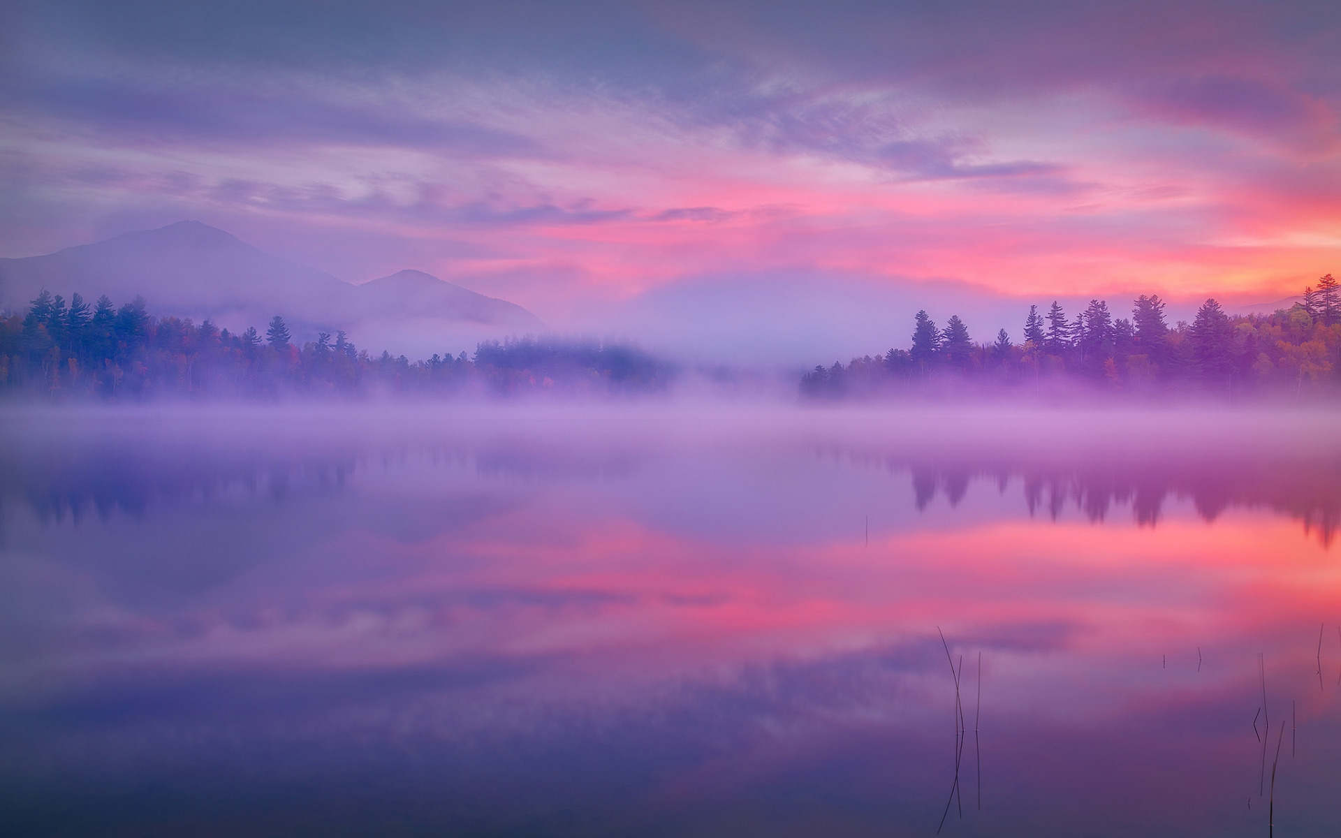 Fog Reflection 4K Wallpapers