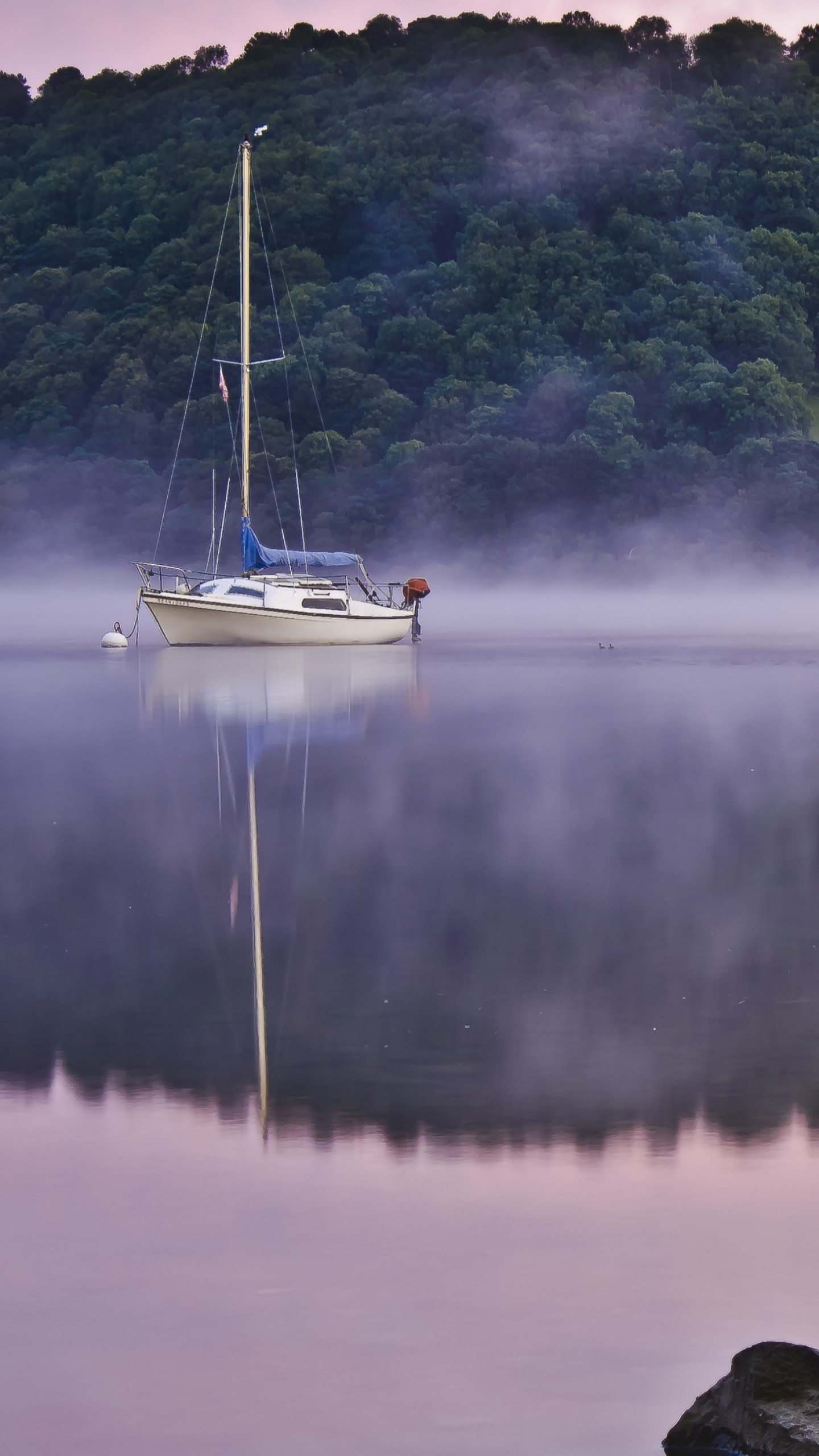 Fog Reflection 4K Wallpapers