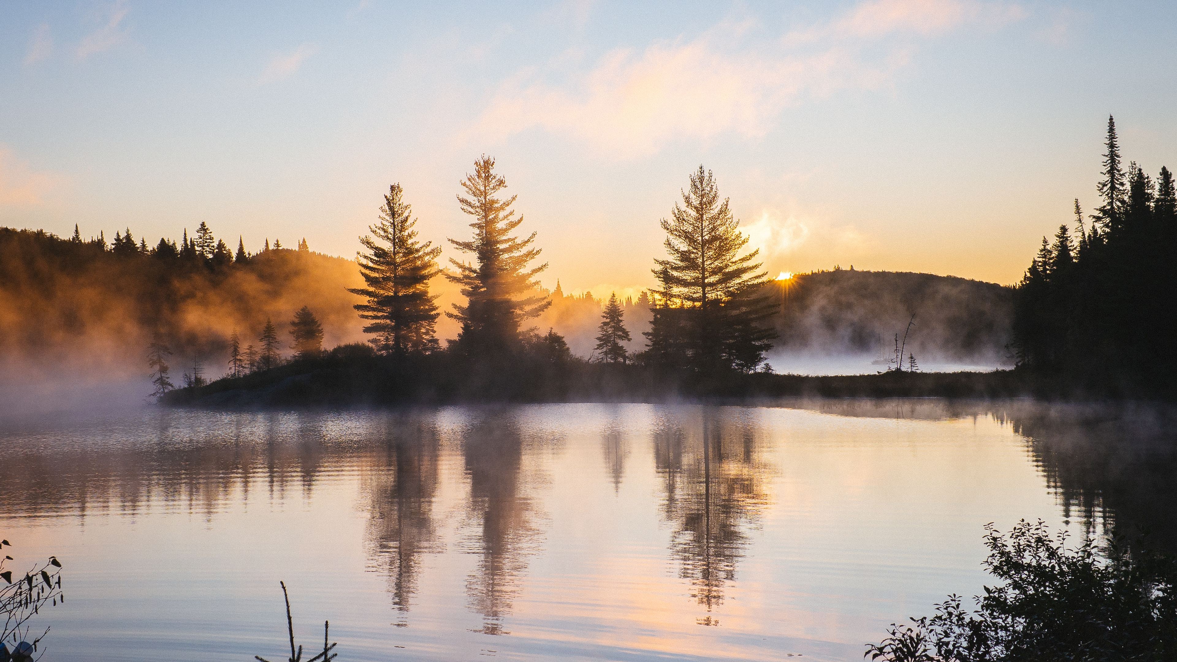 Fog Reflection 4K Wallpapers