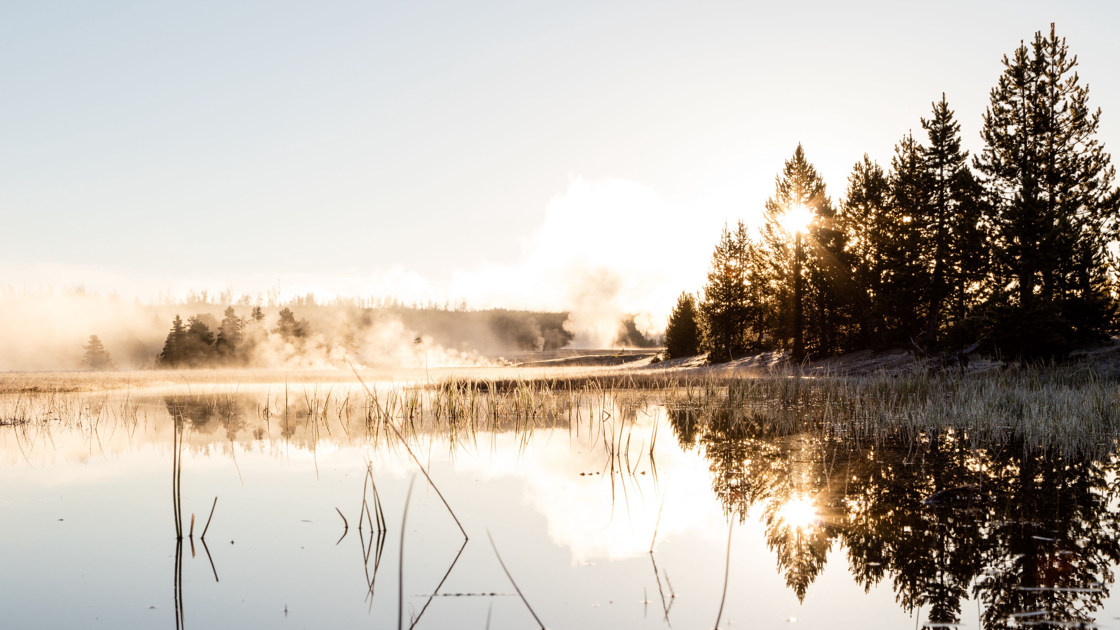 Fog Reflection 4K Wallpapers