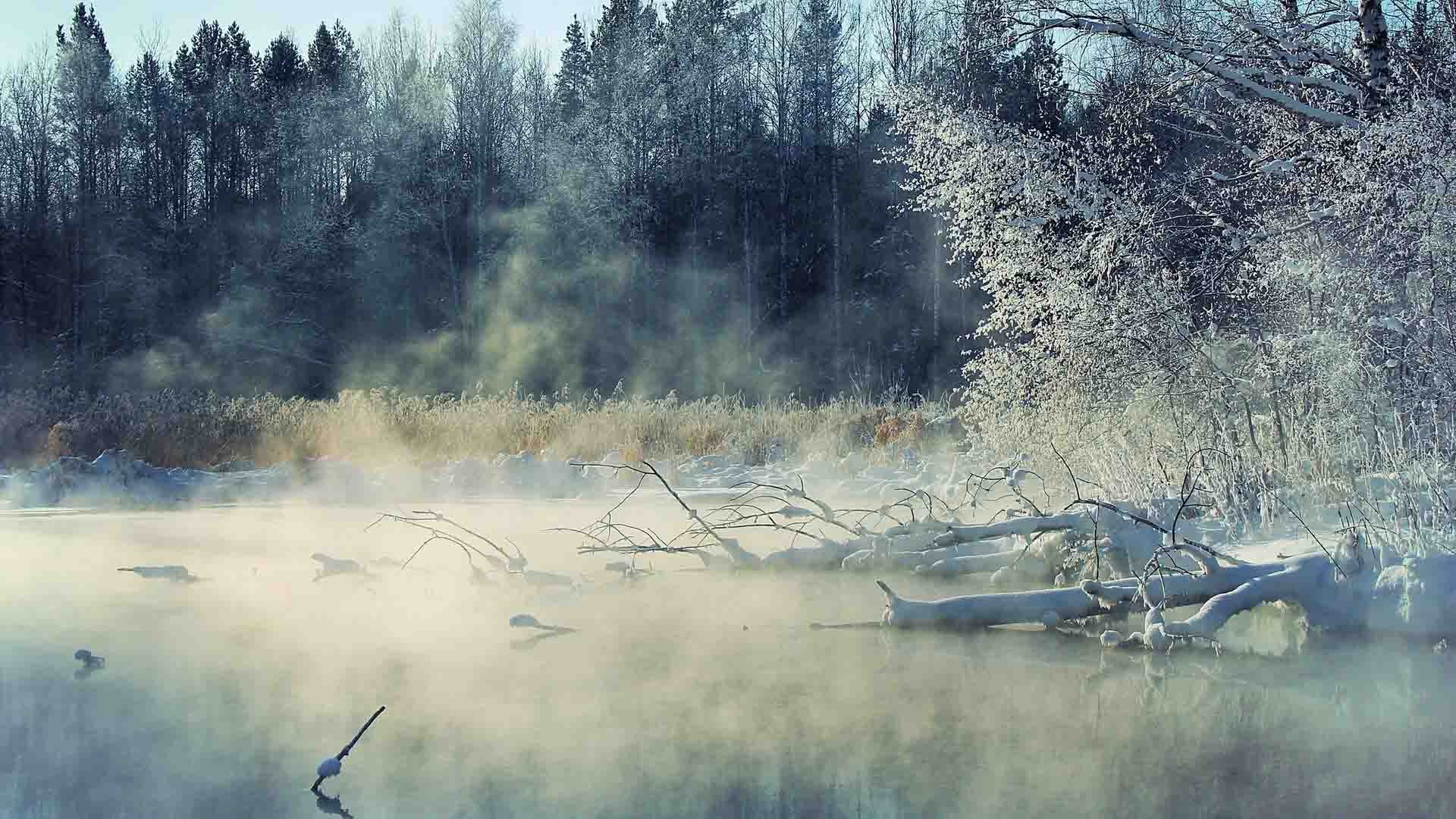 Foggy Backgrounds