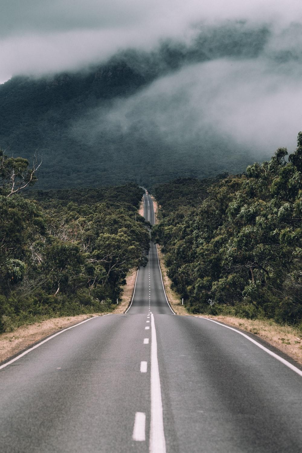 Foggy Empty Road Hd Wallpapers