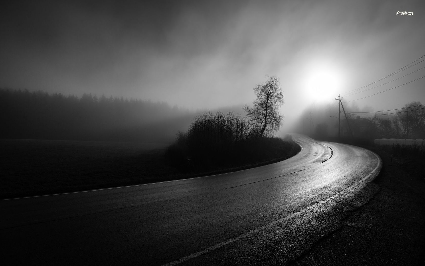 Foggy Empty Road Hd Wallpapers