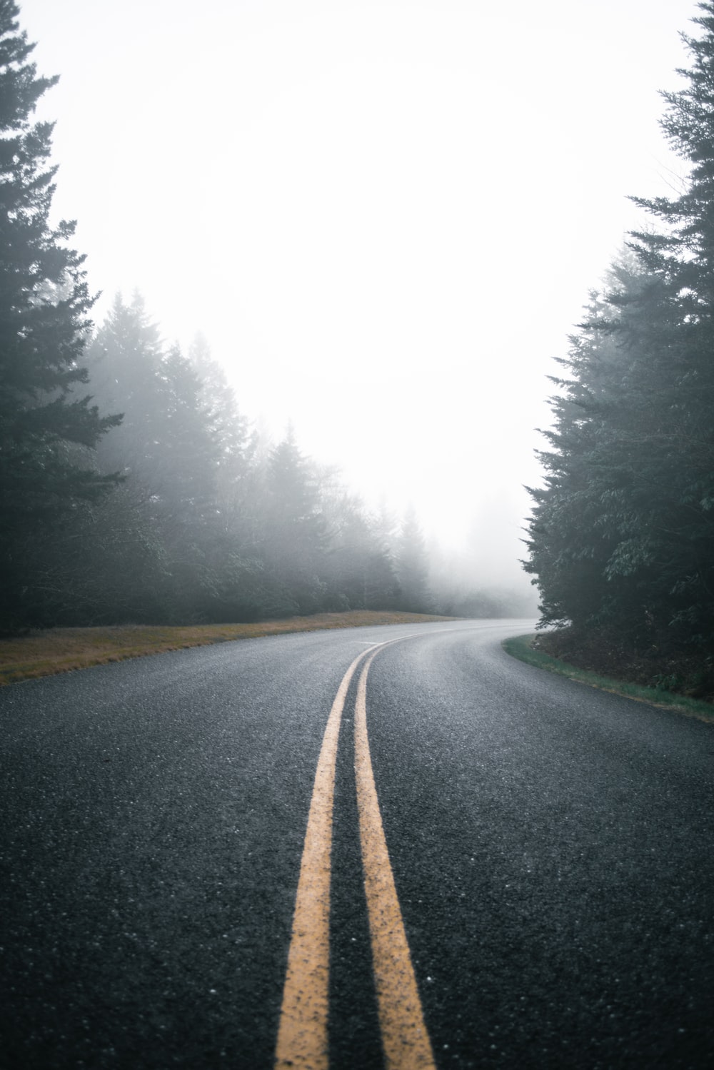 Foggy Empty Road Hd Wallpapers