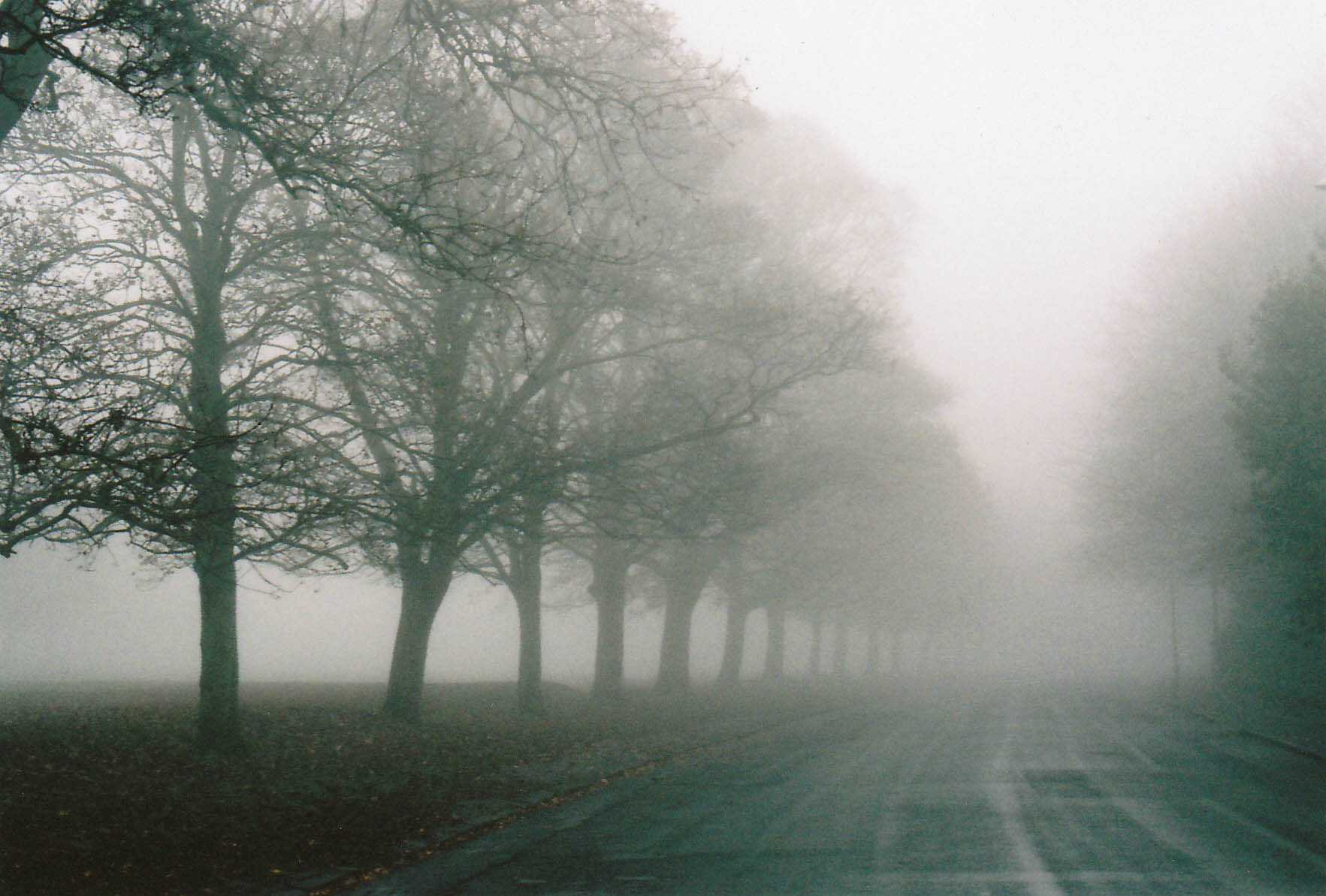 Foggy Empty Road Hd Wallpapers