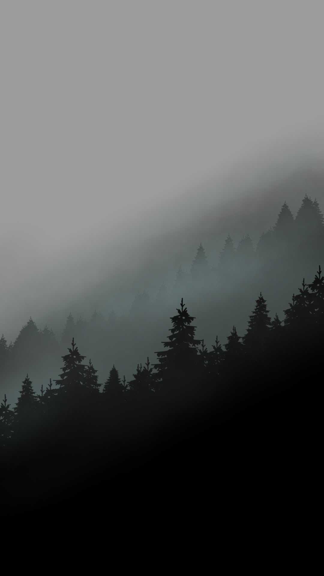 Foggy Forest Mountain Wallpapers