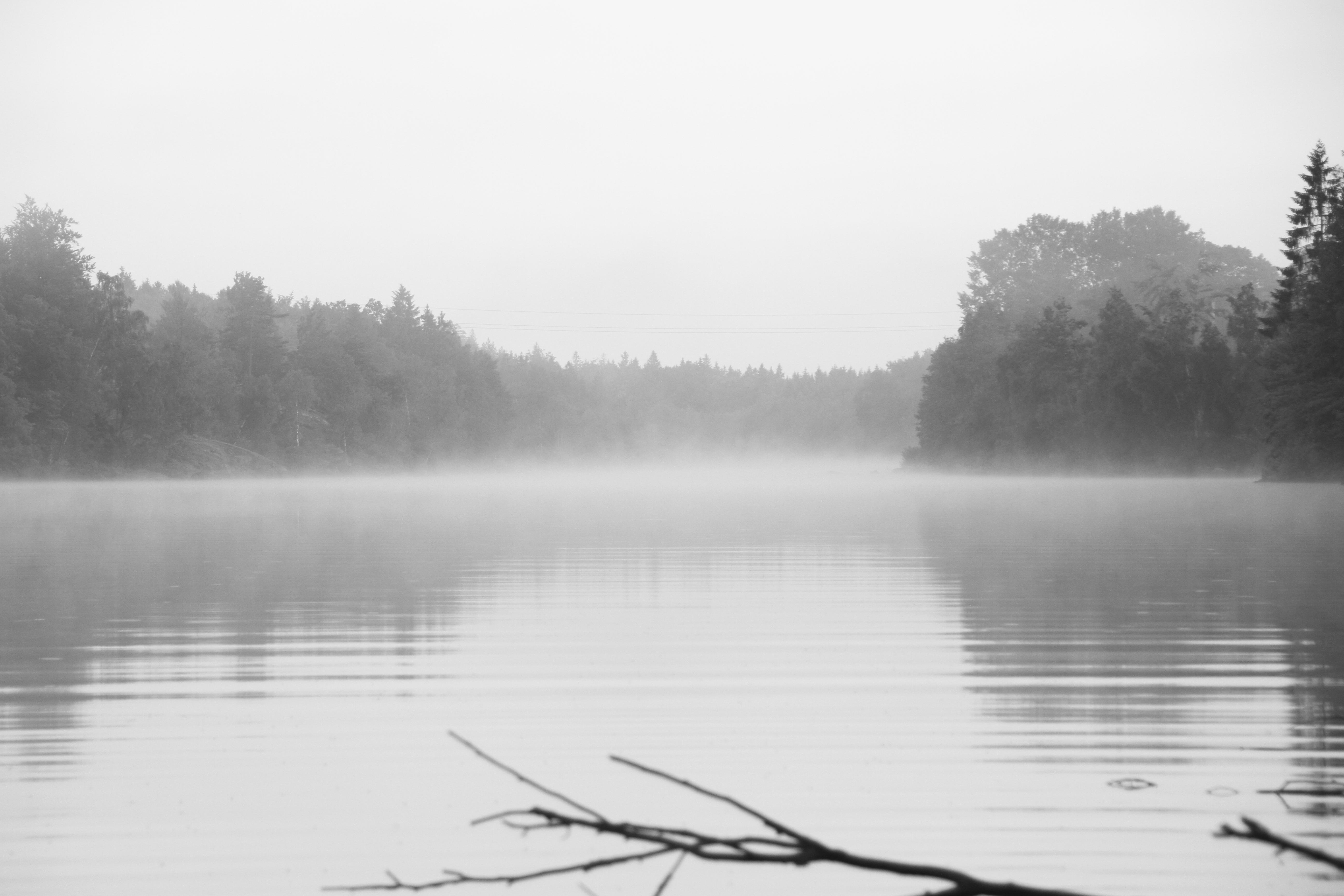 Foggy Lake Wallpapers