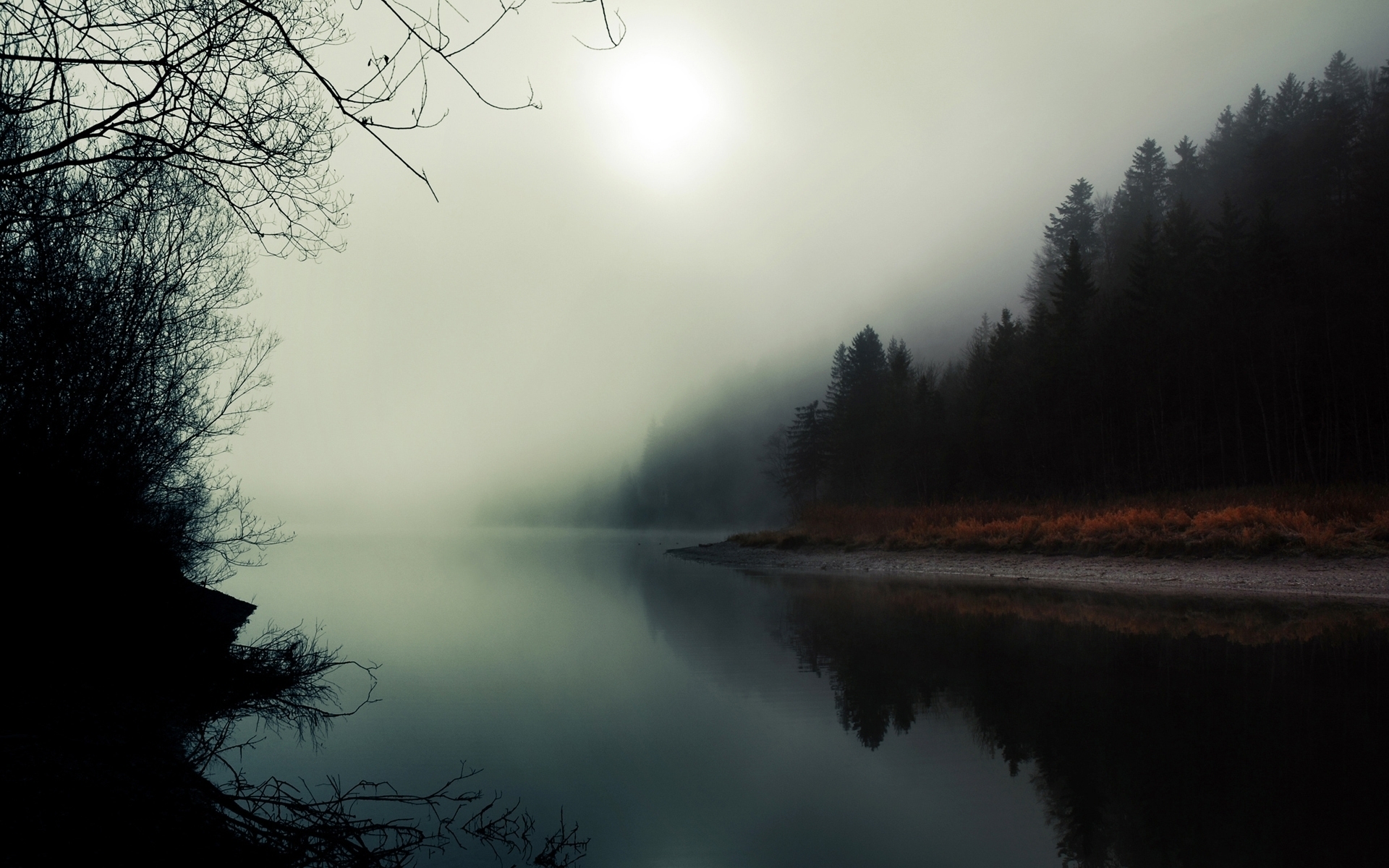 Foggy Lake Wallpapers