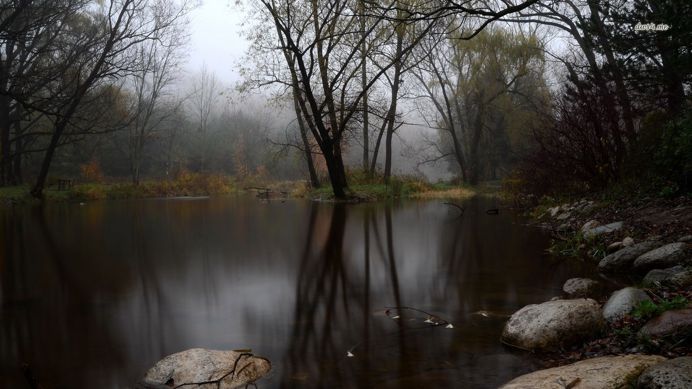 Foggy Lake Wallpapers