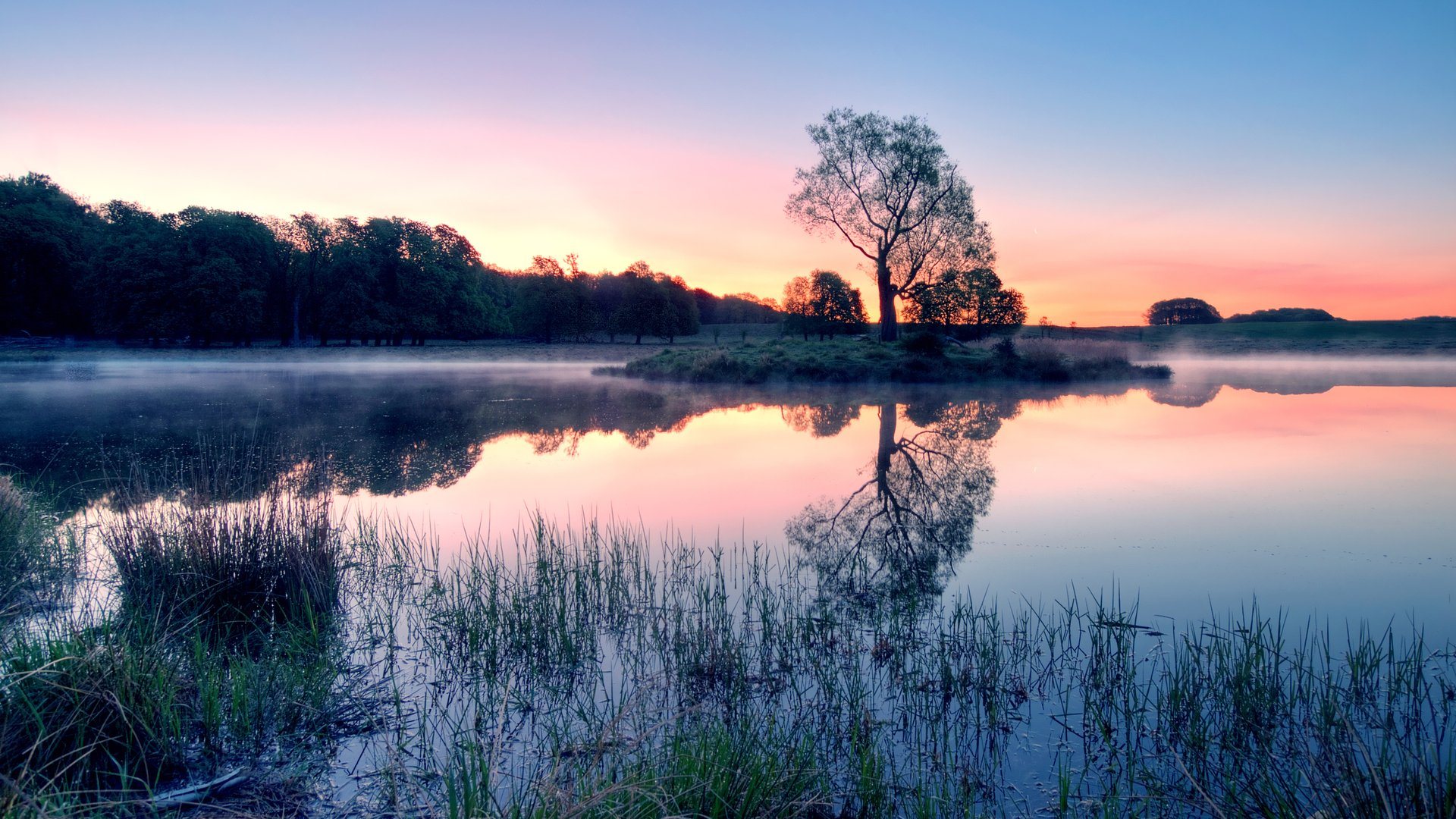 Foggy Lake Wallpapers