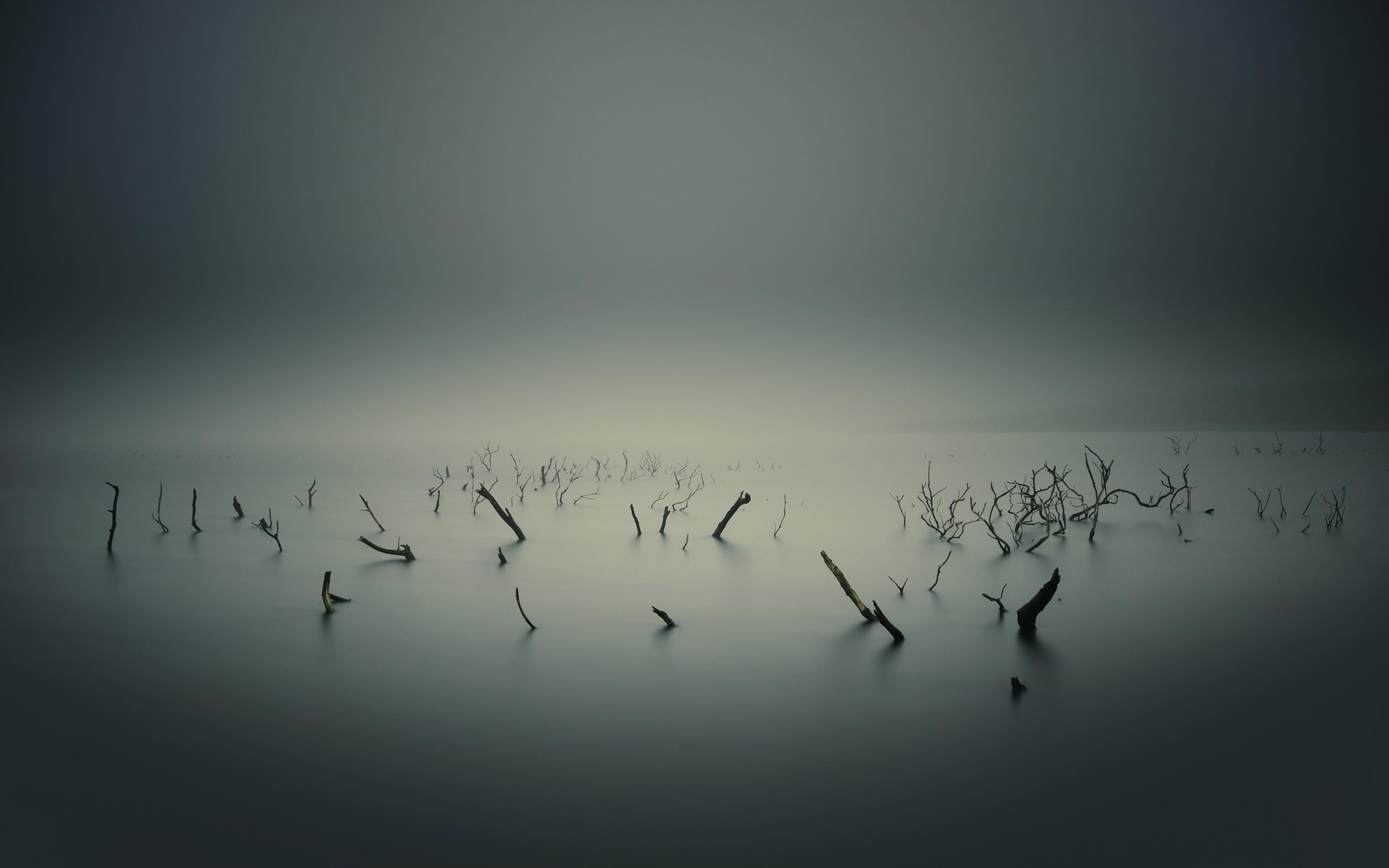 Foggy Lake Wallpapers