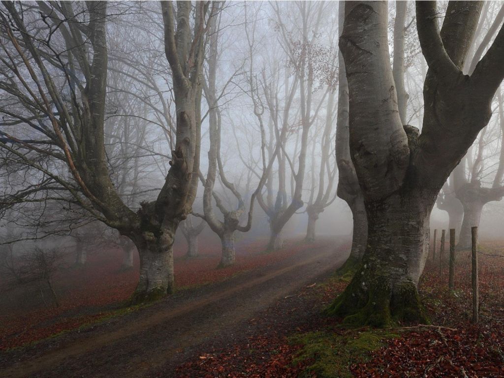 Fogy Spain Valley Wallpapers