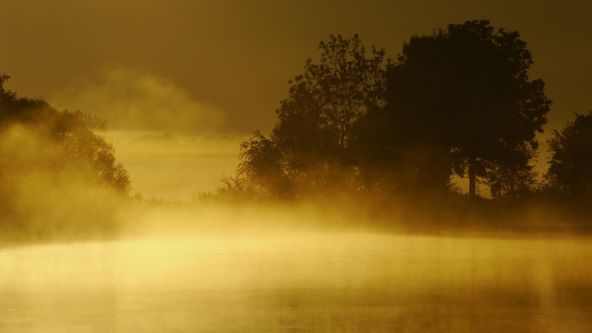 Fogy Sunrise Wallpapers