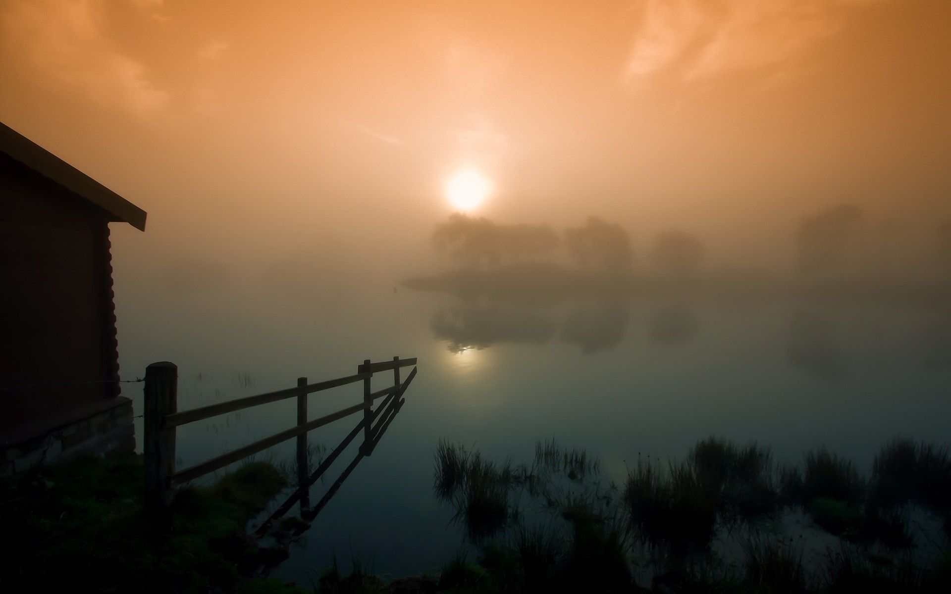Fogy Sunrise Wallpapers