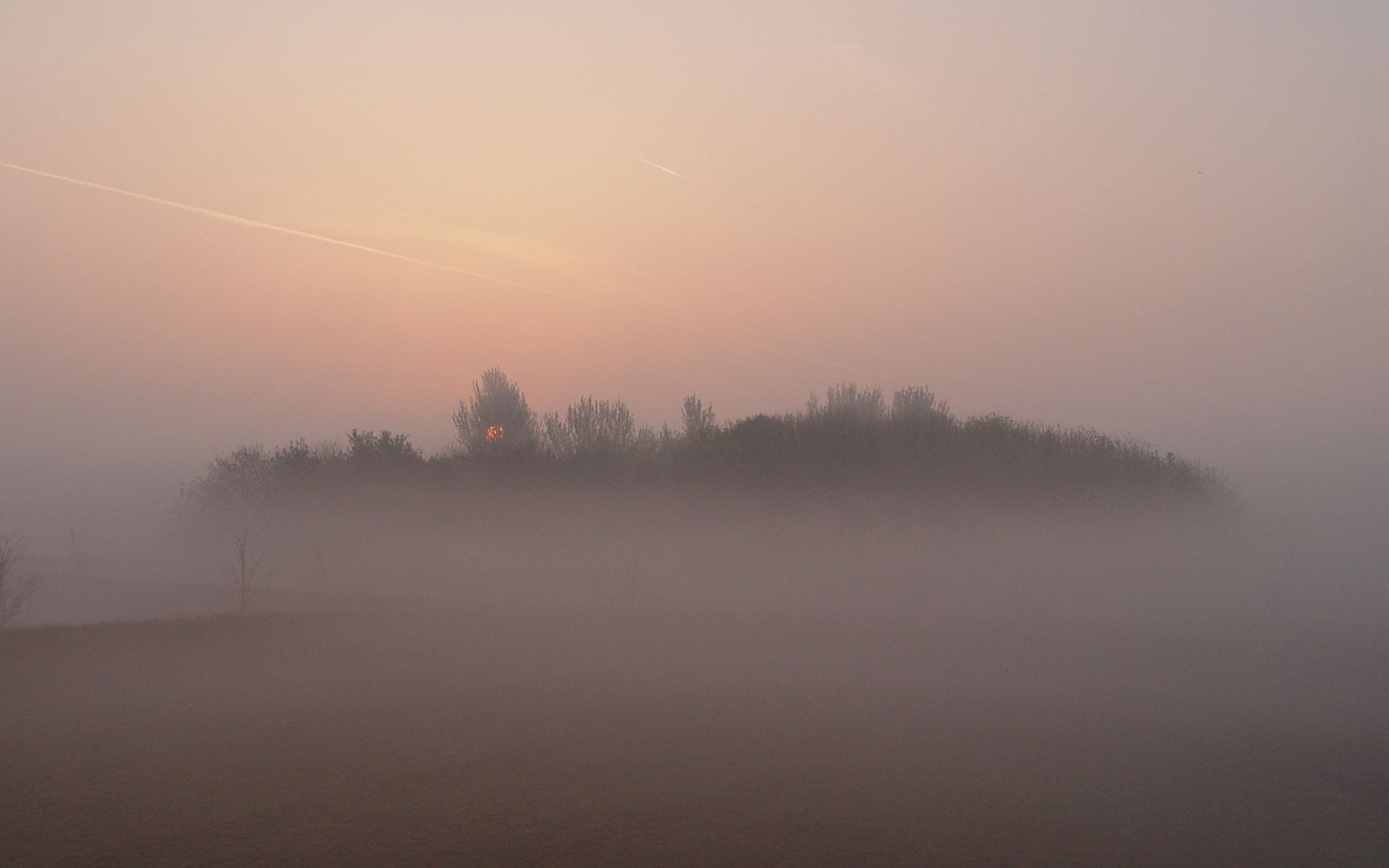 Fogy Sunrise Wallpapers