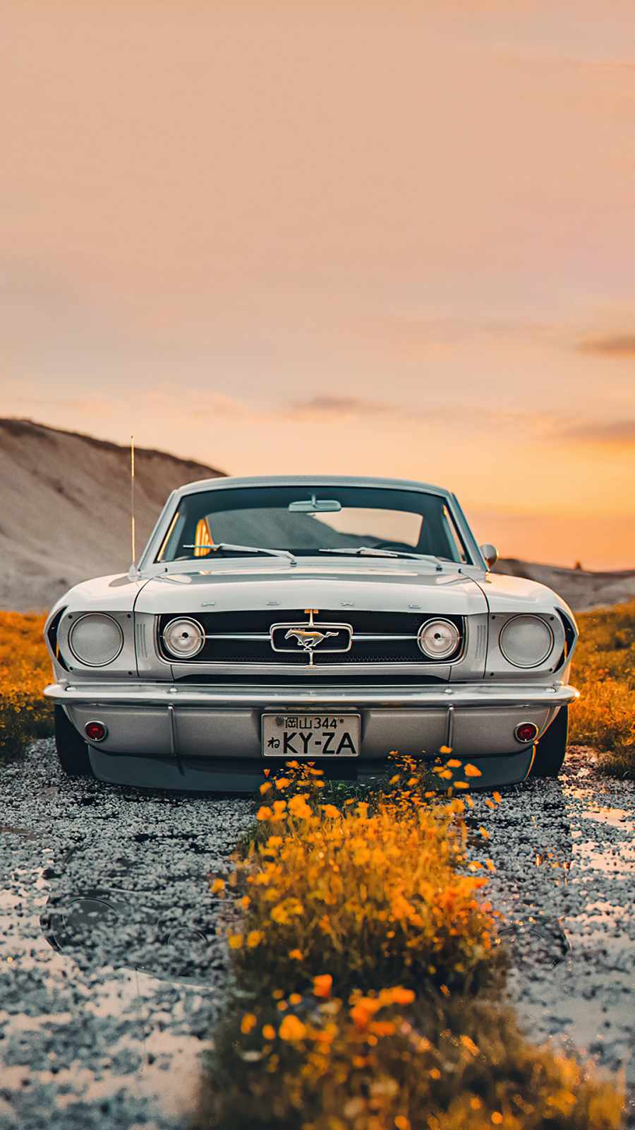Ford Logo Iphone Wallpapers