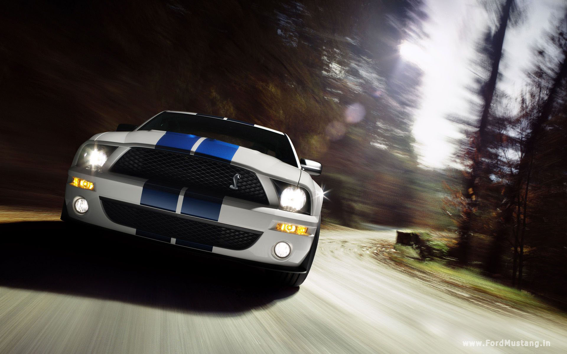 Ford Mustang Fr500Cj Cobra Jet Wallpapers