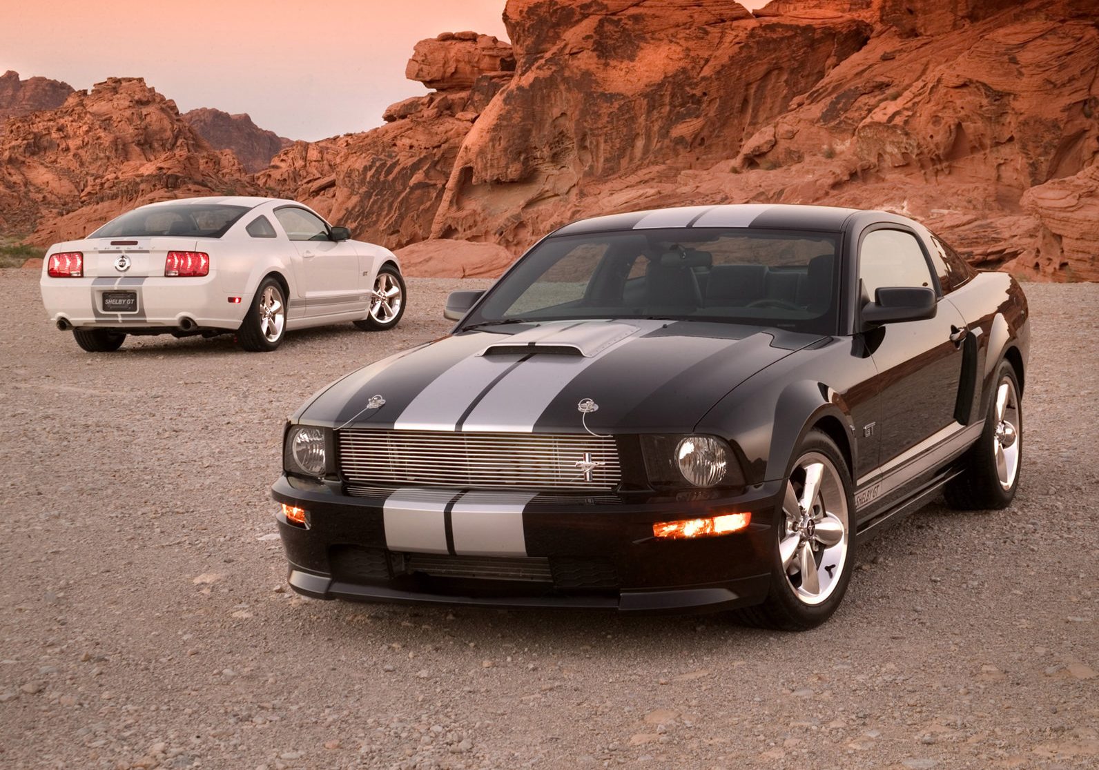 Ford Mustang Shelby Gt500 Svt Wallpapers