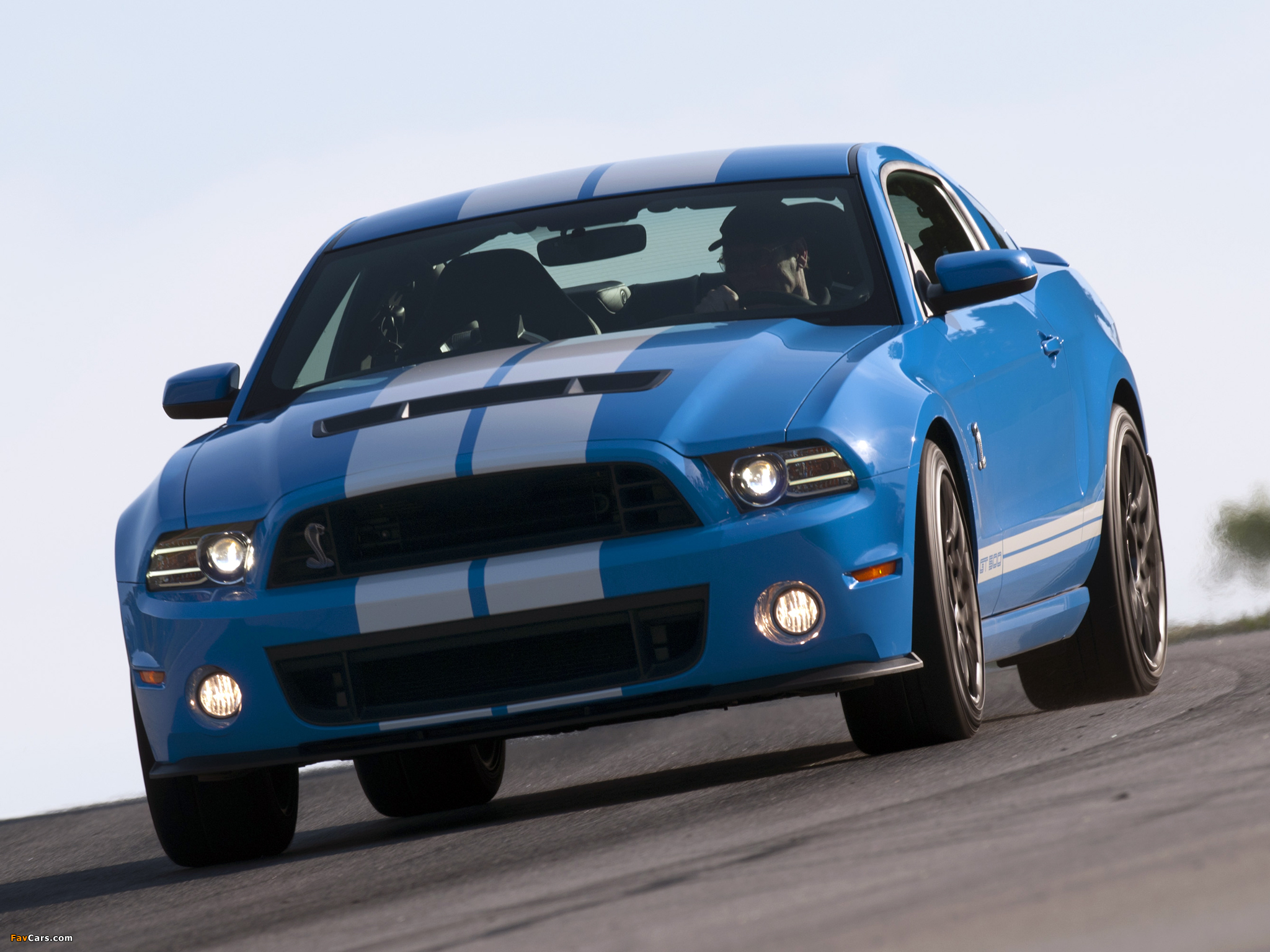 Ford Mustang Shelby Gt500 Svt Wallpapers