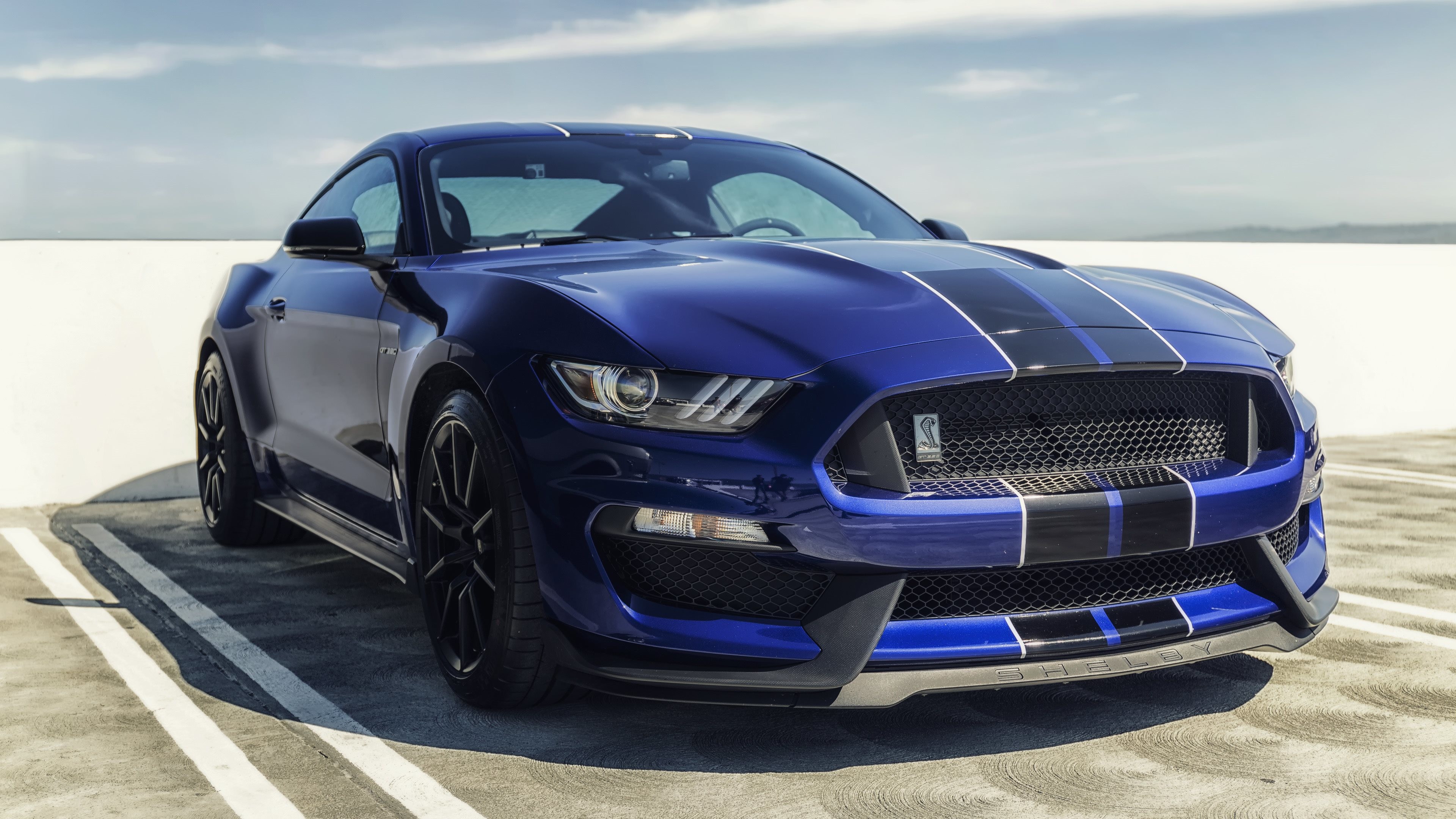 Ford Shelby Gt350 Wallpapers