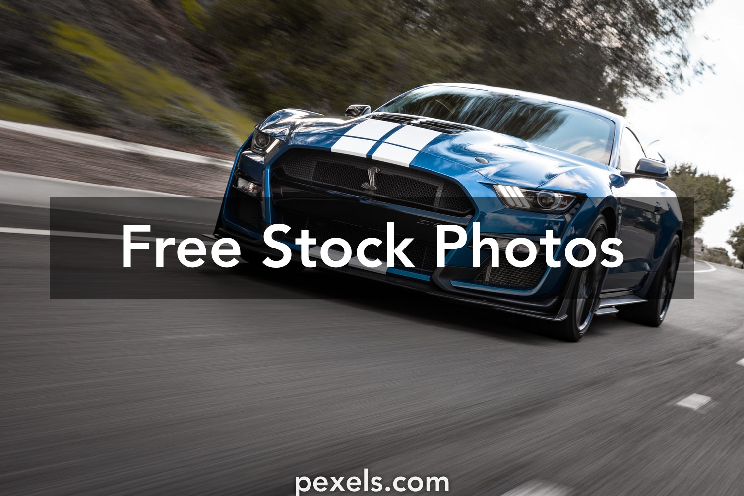 Ford Shelby Gt500 Wallpapers