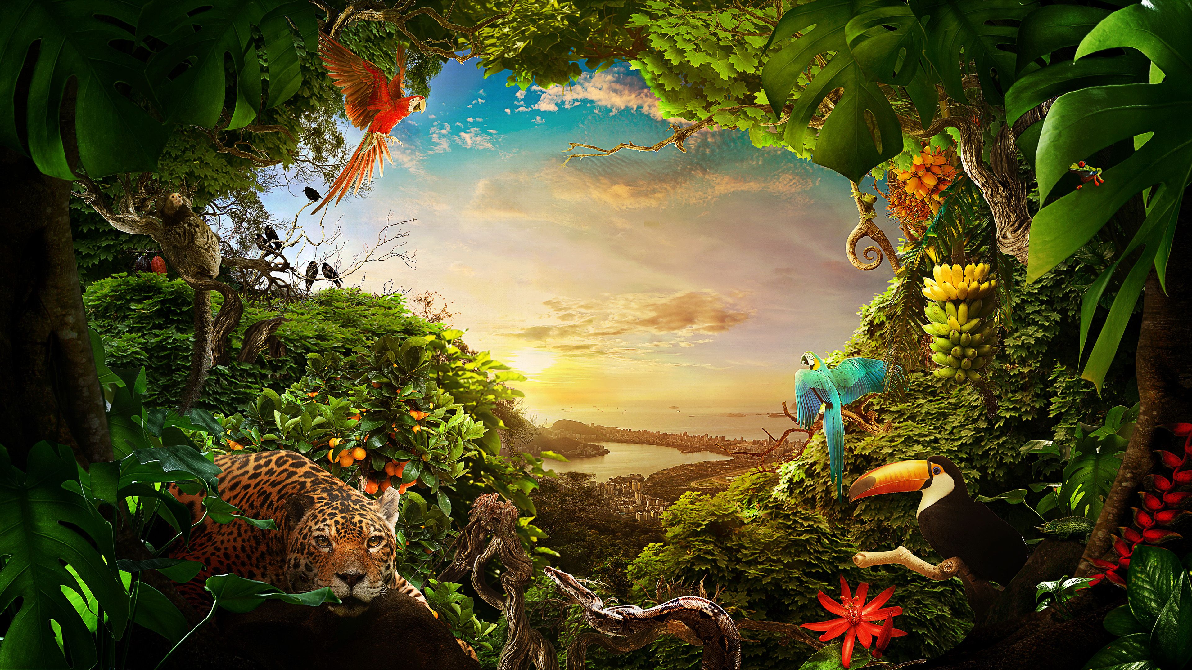 Forest Animals Wallpapers