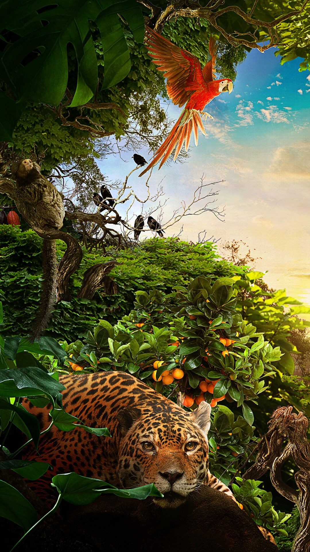 Forest Animals Wallpapers