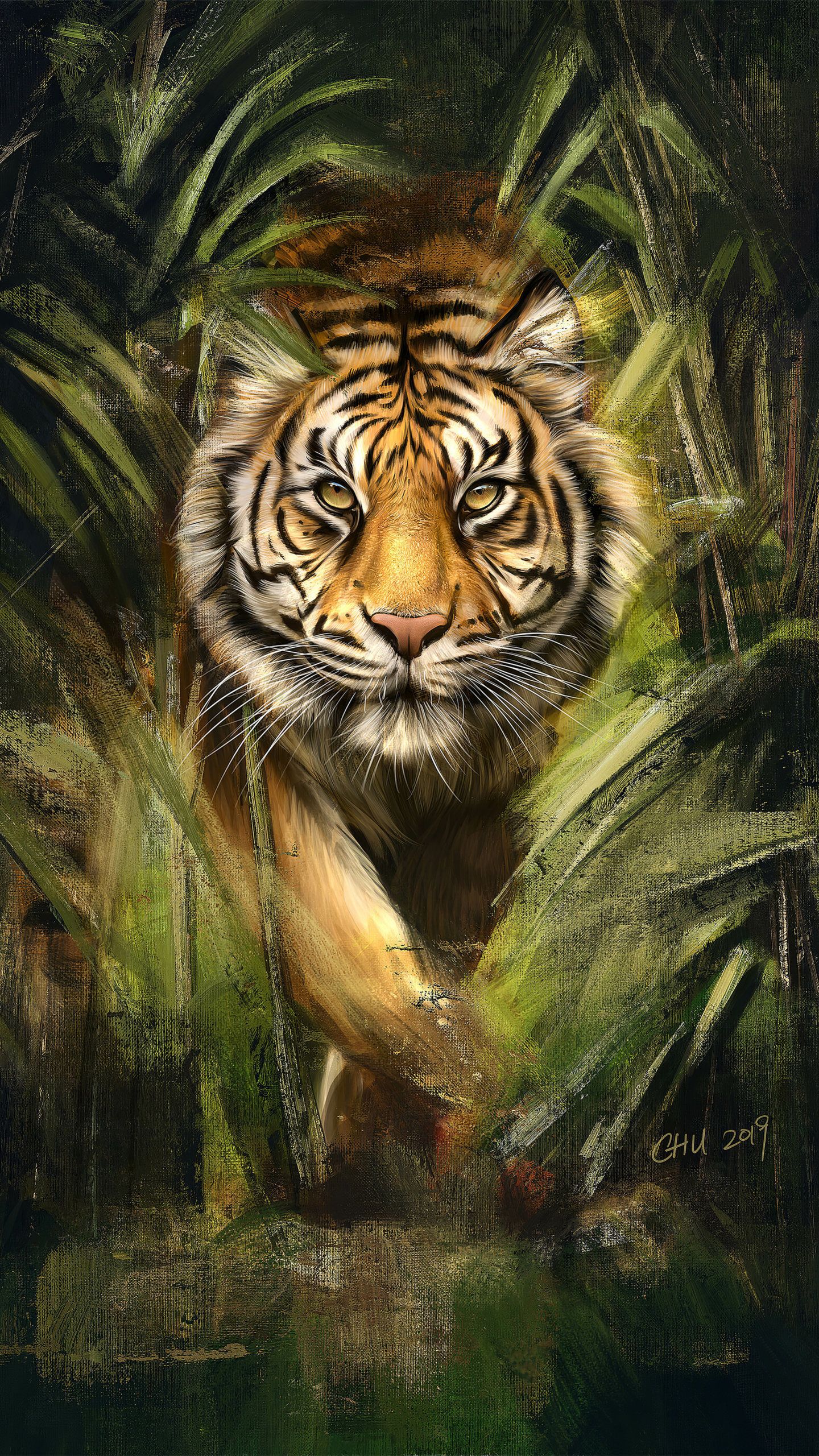 Forest Animals Wallpapers