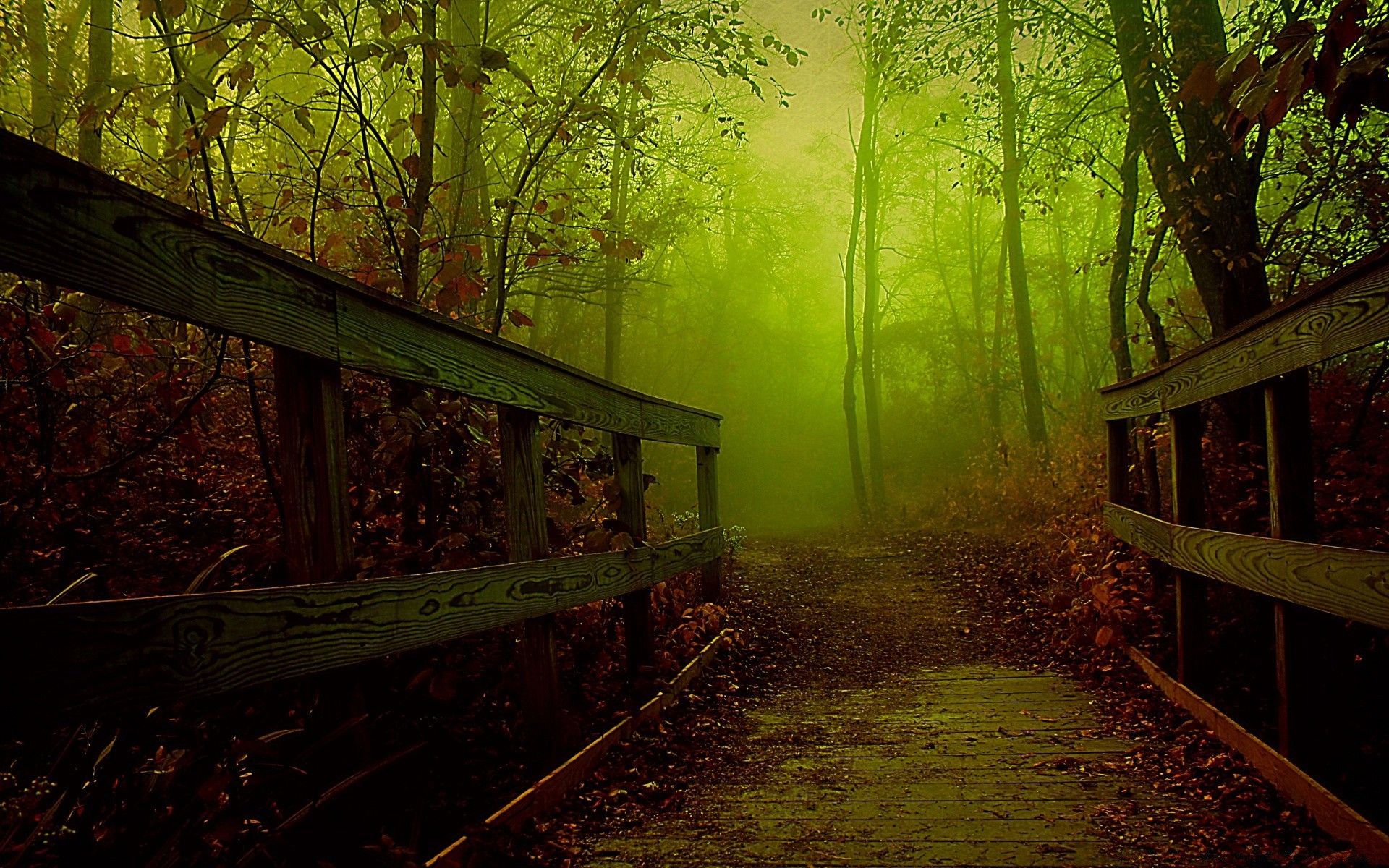 Forest Bridges Wallpapers